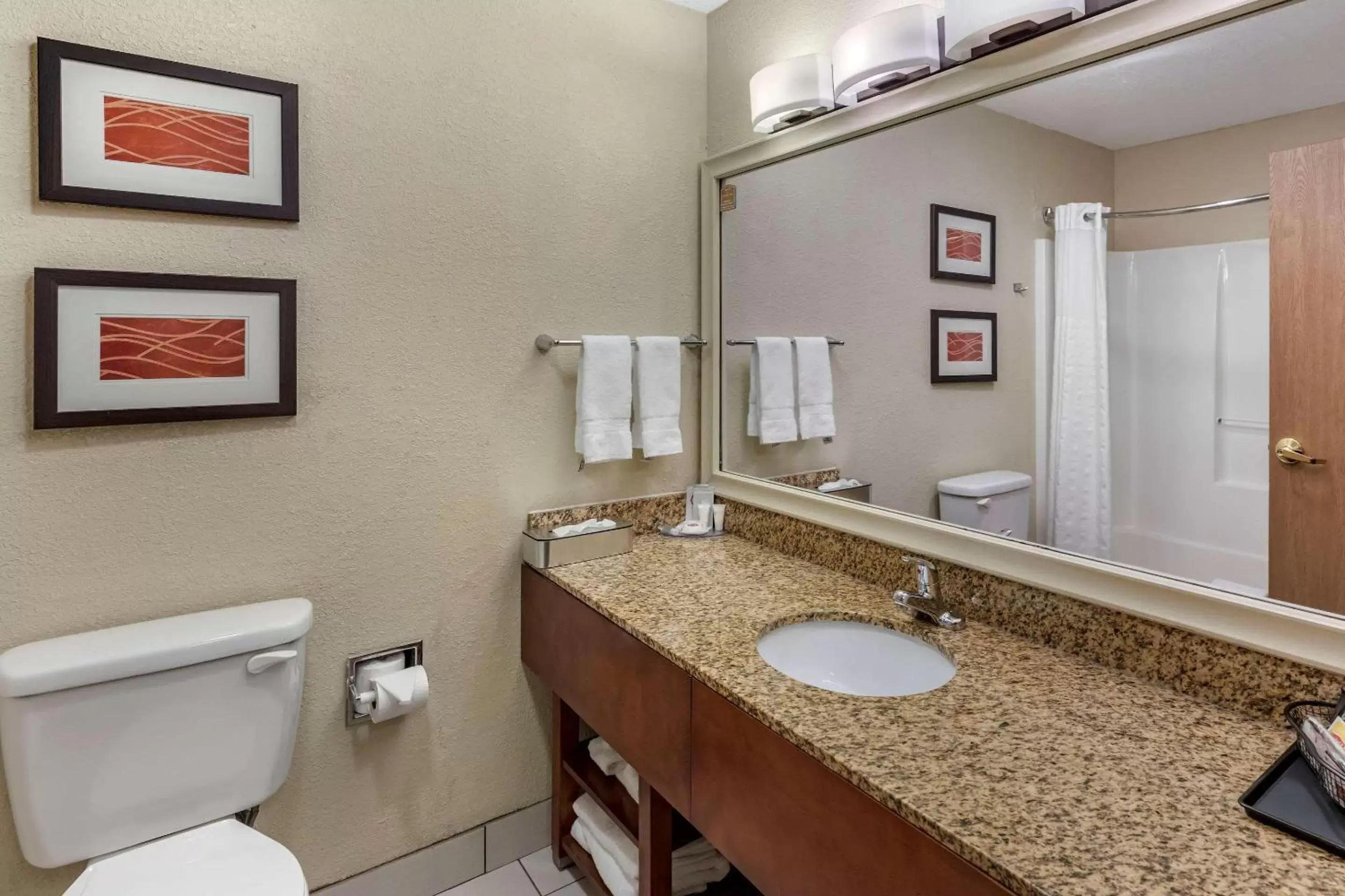 Bedroom, Bathroom in Comfort Inn Denver West Arvada Station