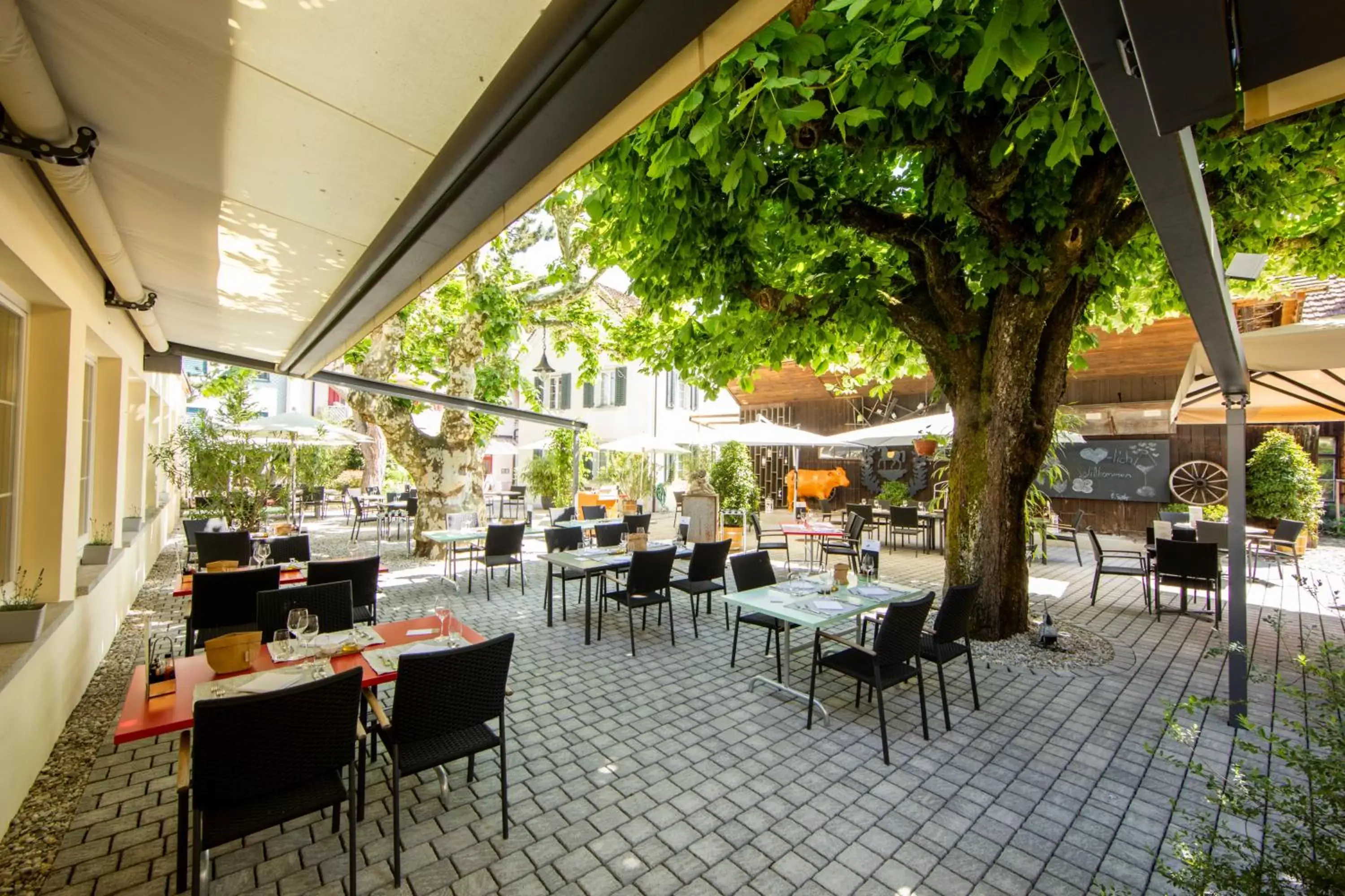 Patio, Restaurant/Places to Eat in OCHSEN LODGE by Ochsen Lenzburg