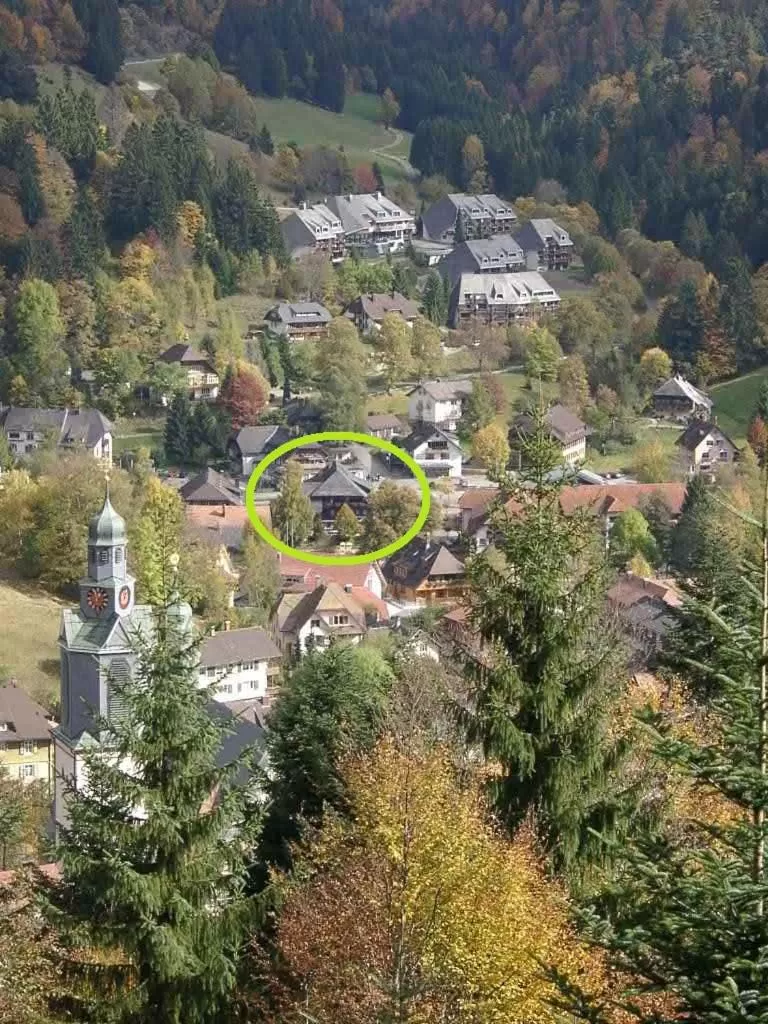 Area and facilities, Bird's-eye View in Hotel Maien