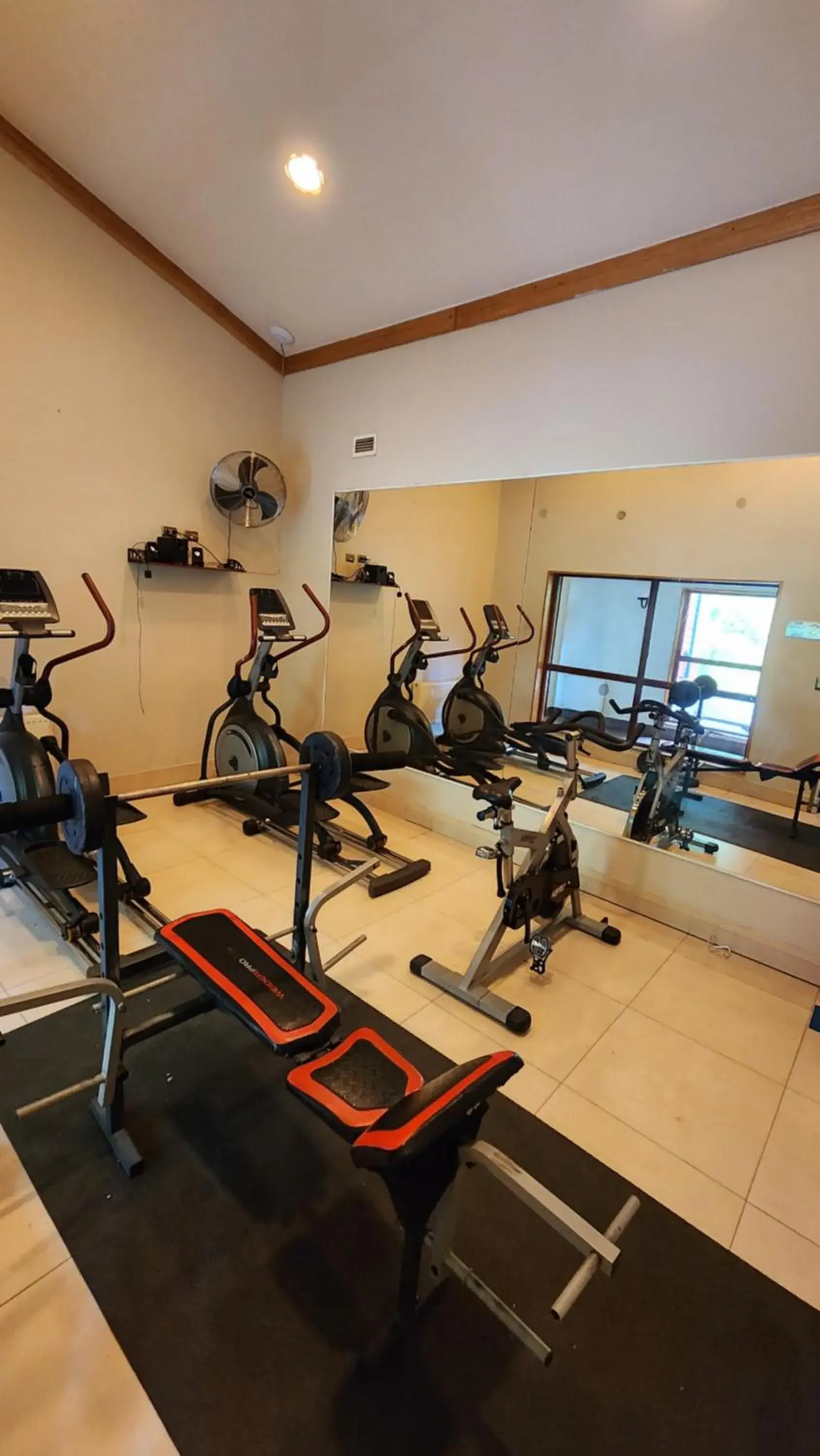 Fitness centre/facilities, Fitness Center/Facilities in Hotel Diego de Almagro Coyhaique