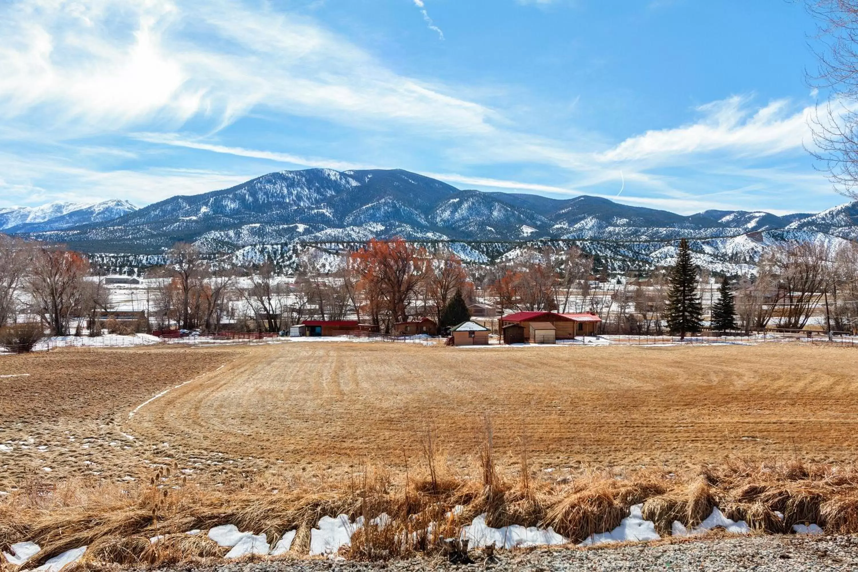 View (from property/room) in Loyal Duke Lodge