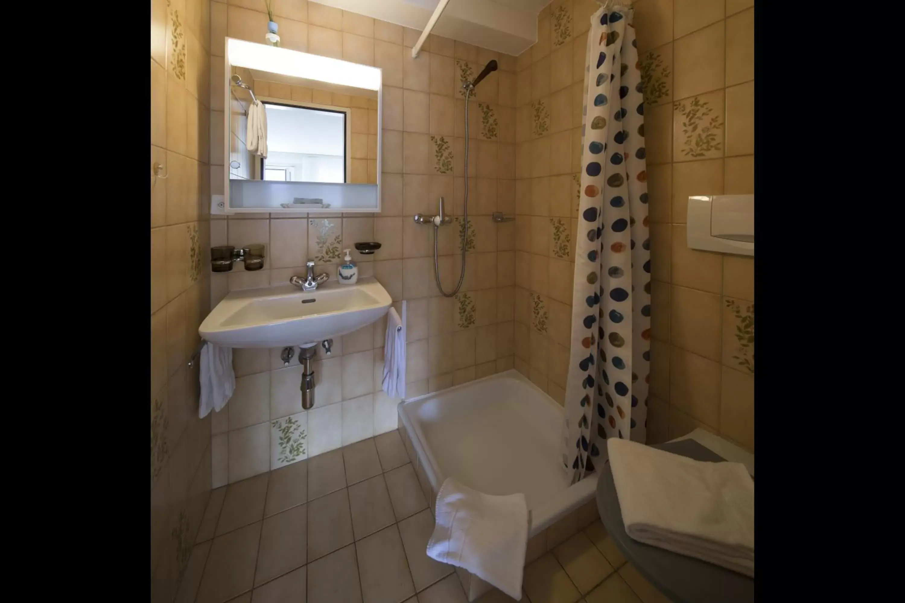 Shower, Bathroom in Al Pozz Boutique Resort