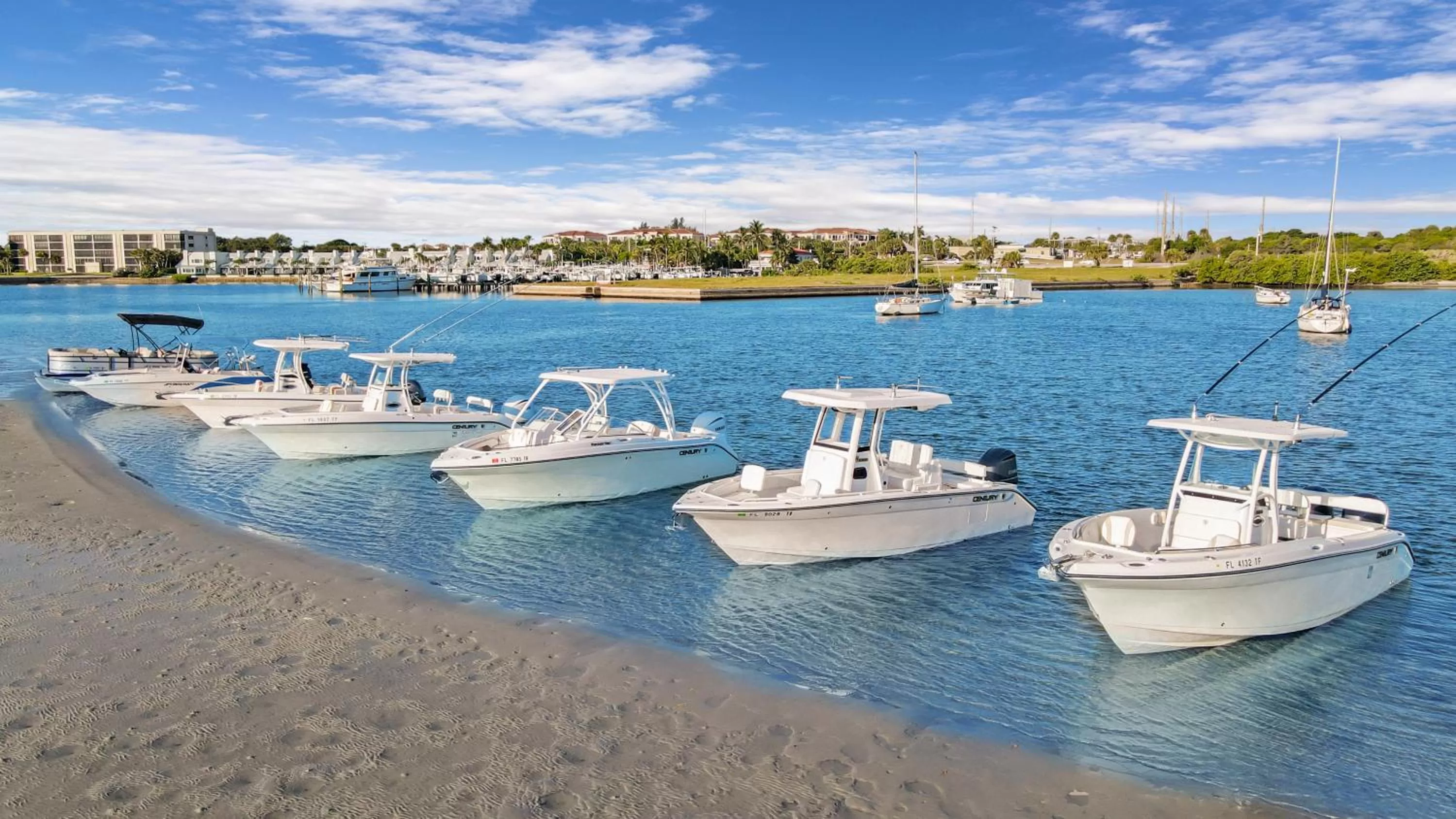 Natural landscape in The Pointe Hotel