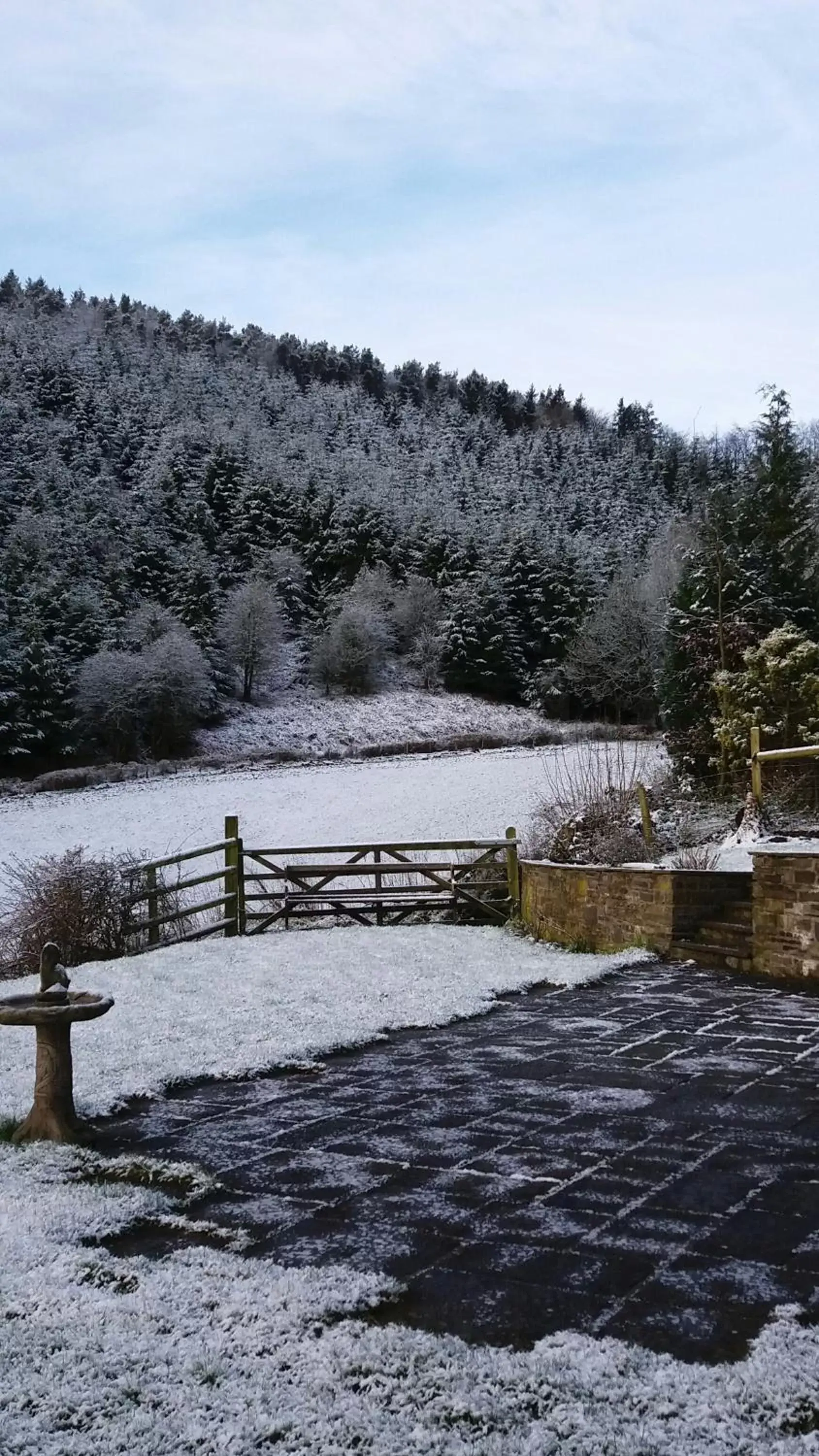 Natural landscape in Middle Woodbatch B&B