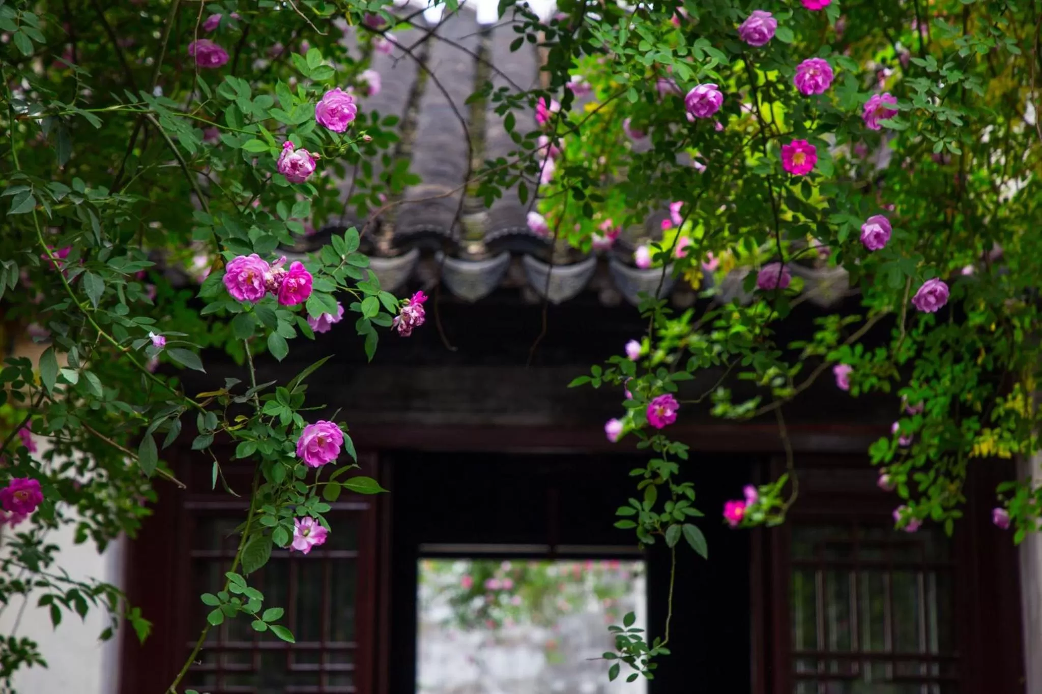 Area and facilities in Crowne Plaza Suzhou by IHG