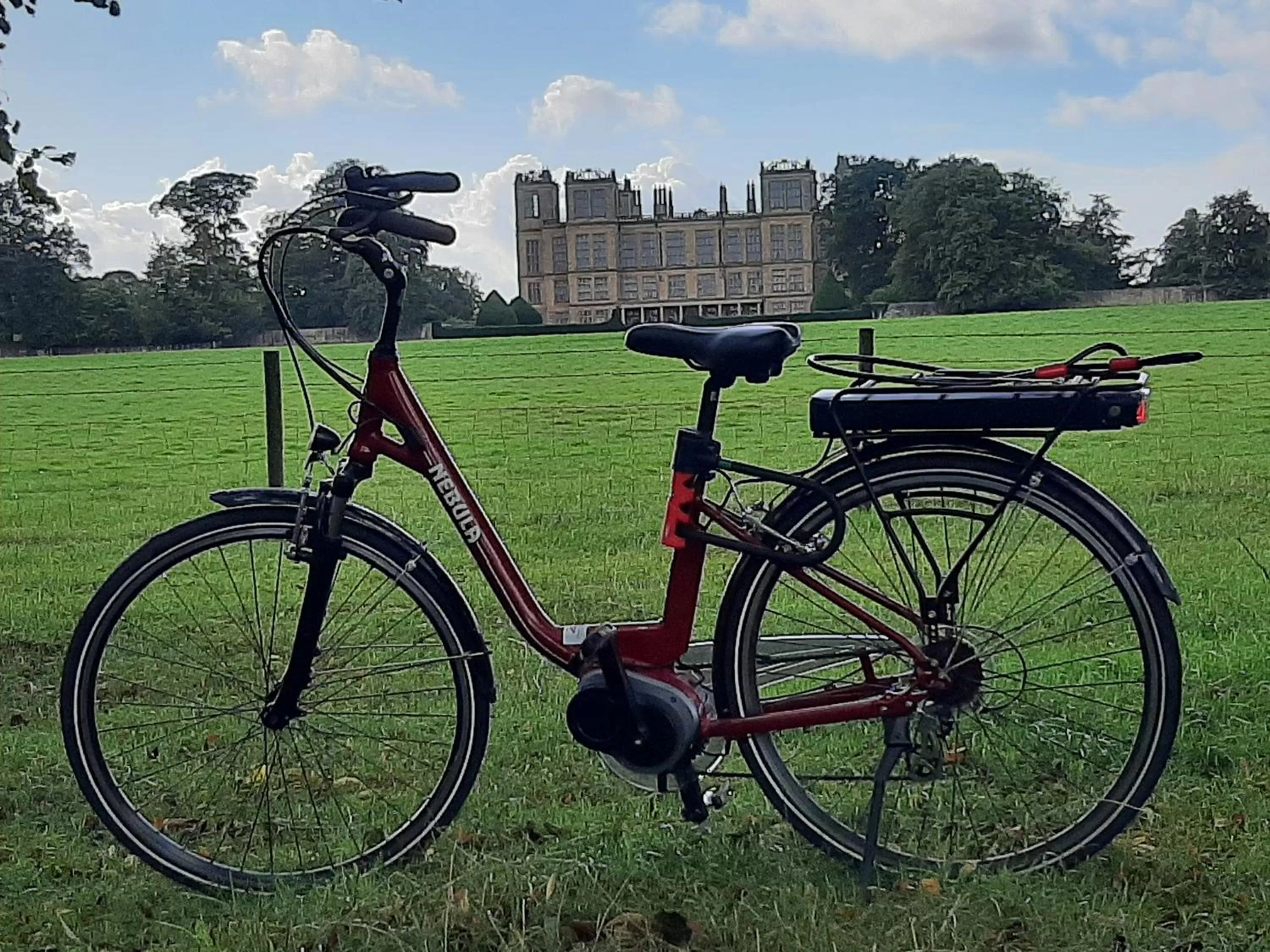 Activities in Church Villa B & B