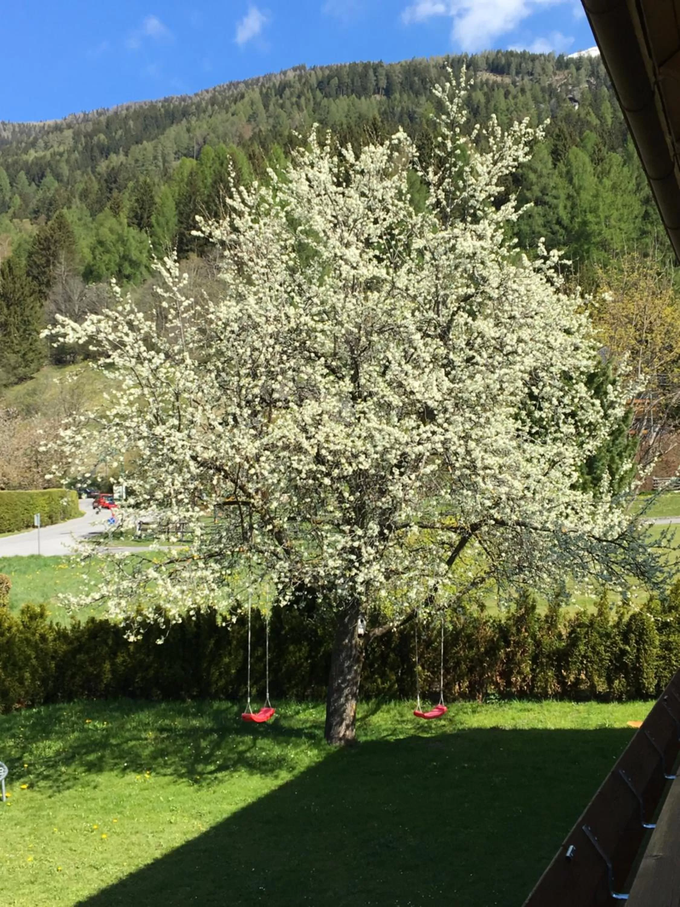 Garden in Haus Nohra
