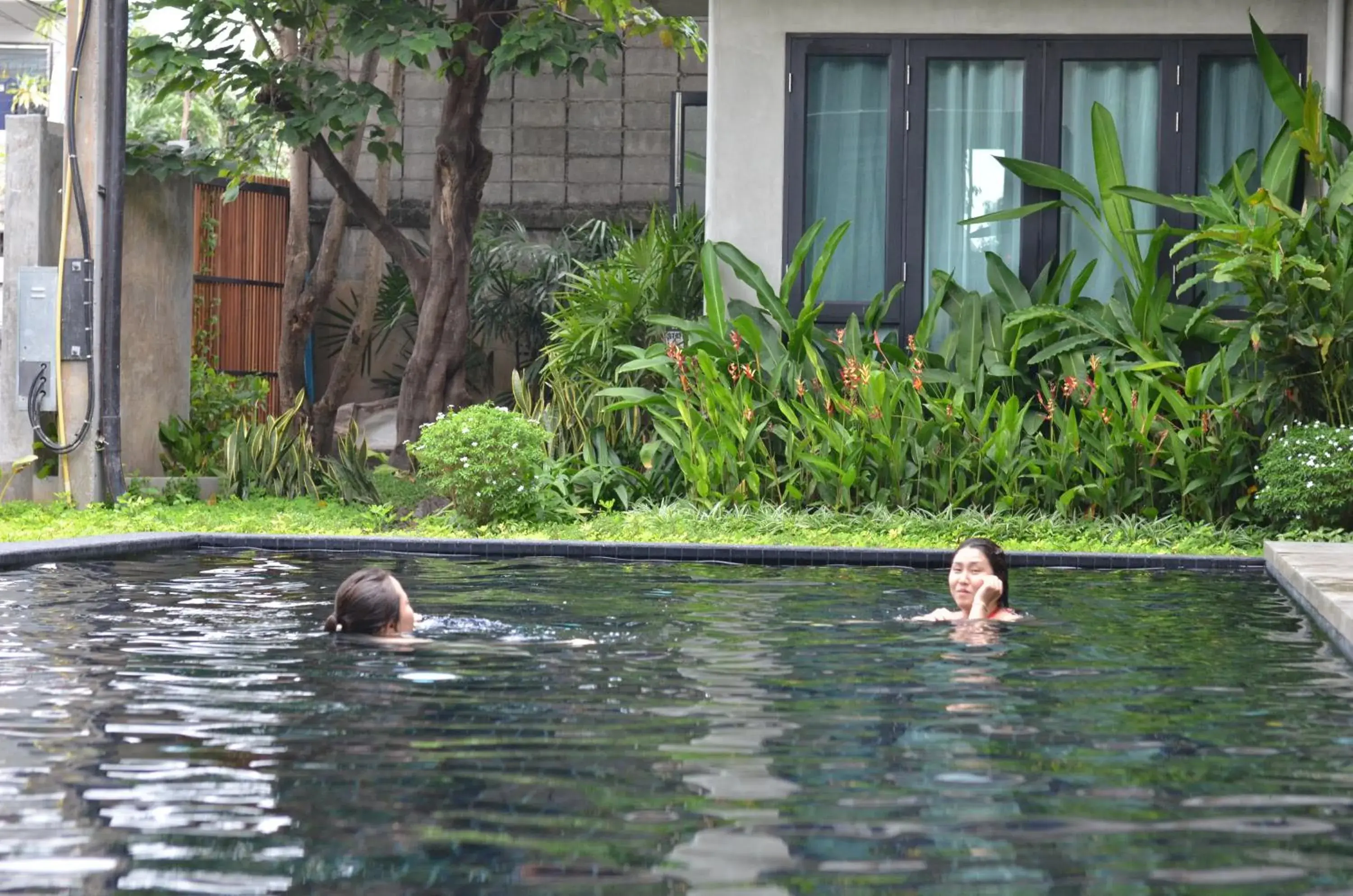 Swimming pool, Other Animals in Lamphu House Chiang Mai - SHA Extra Plus Certified