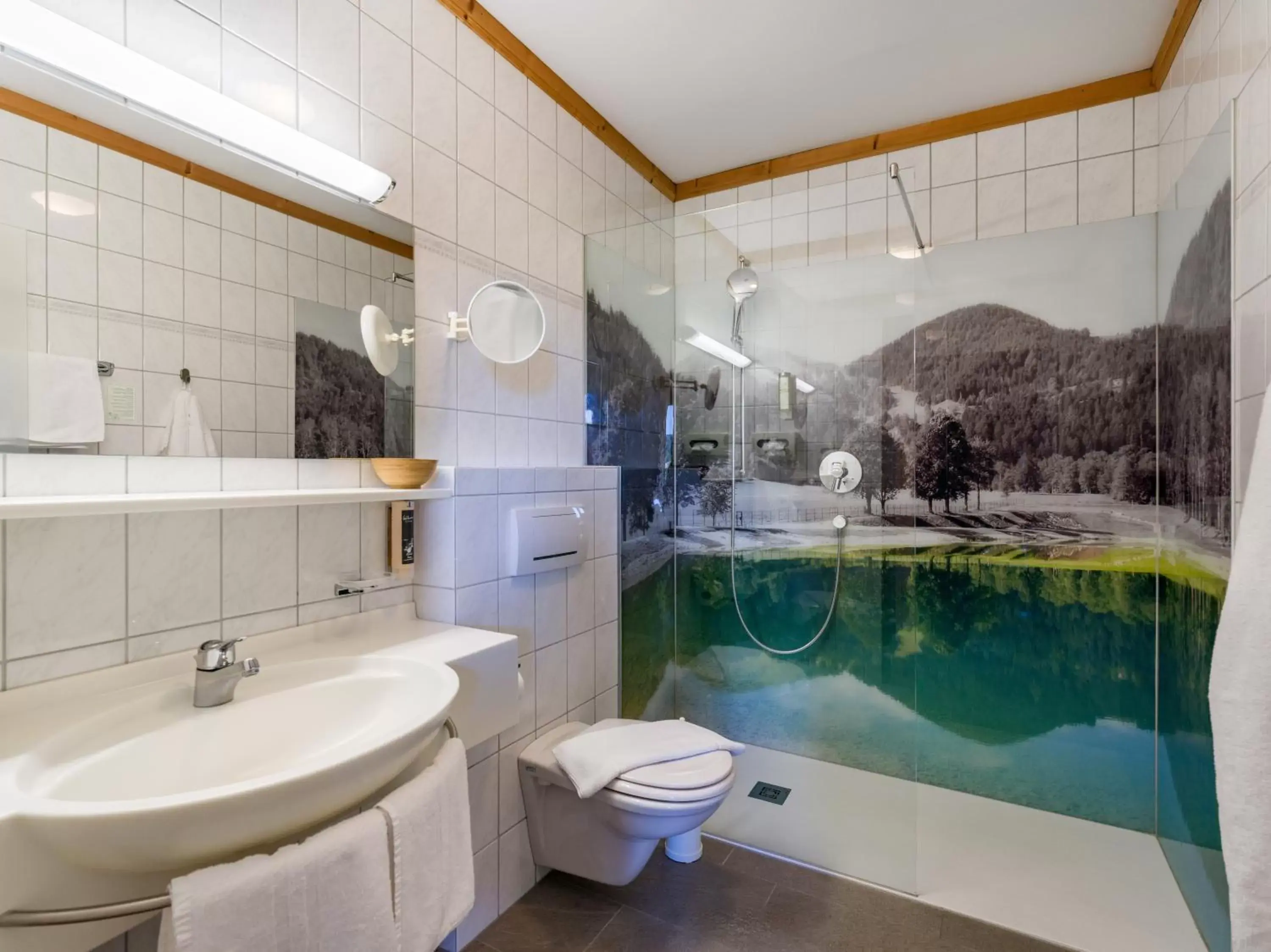 Bathroom in Hotel Alpenpanorama