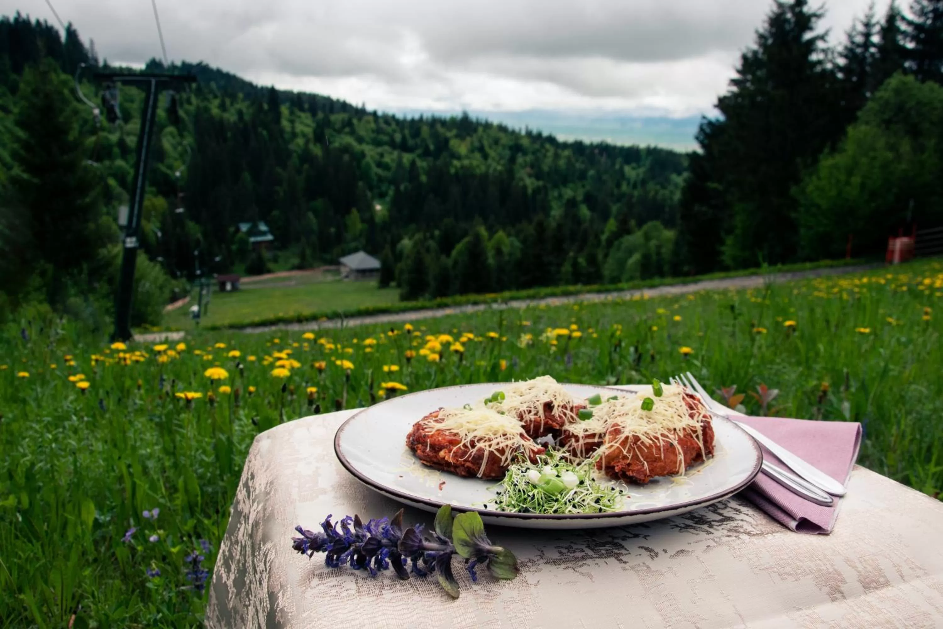 Natural landscape in Mountain-Rest Pension