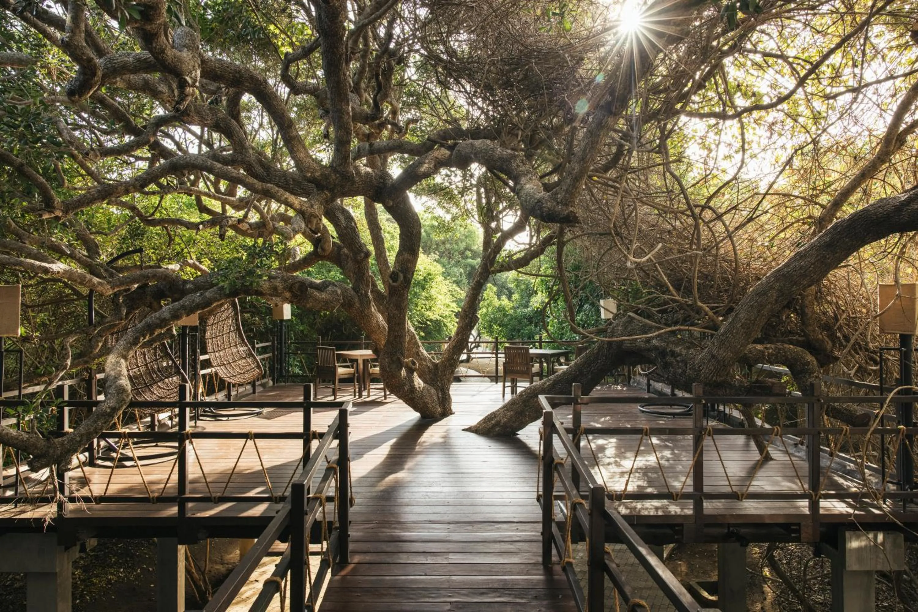 Lounge or bar in Uga Jungle Beach - Trincomalee