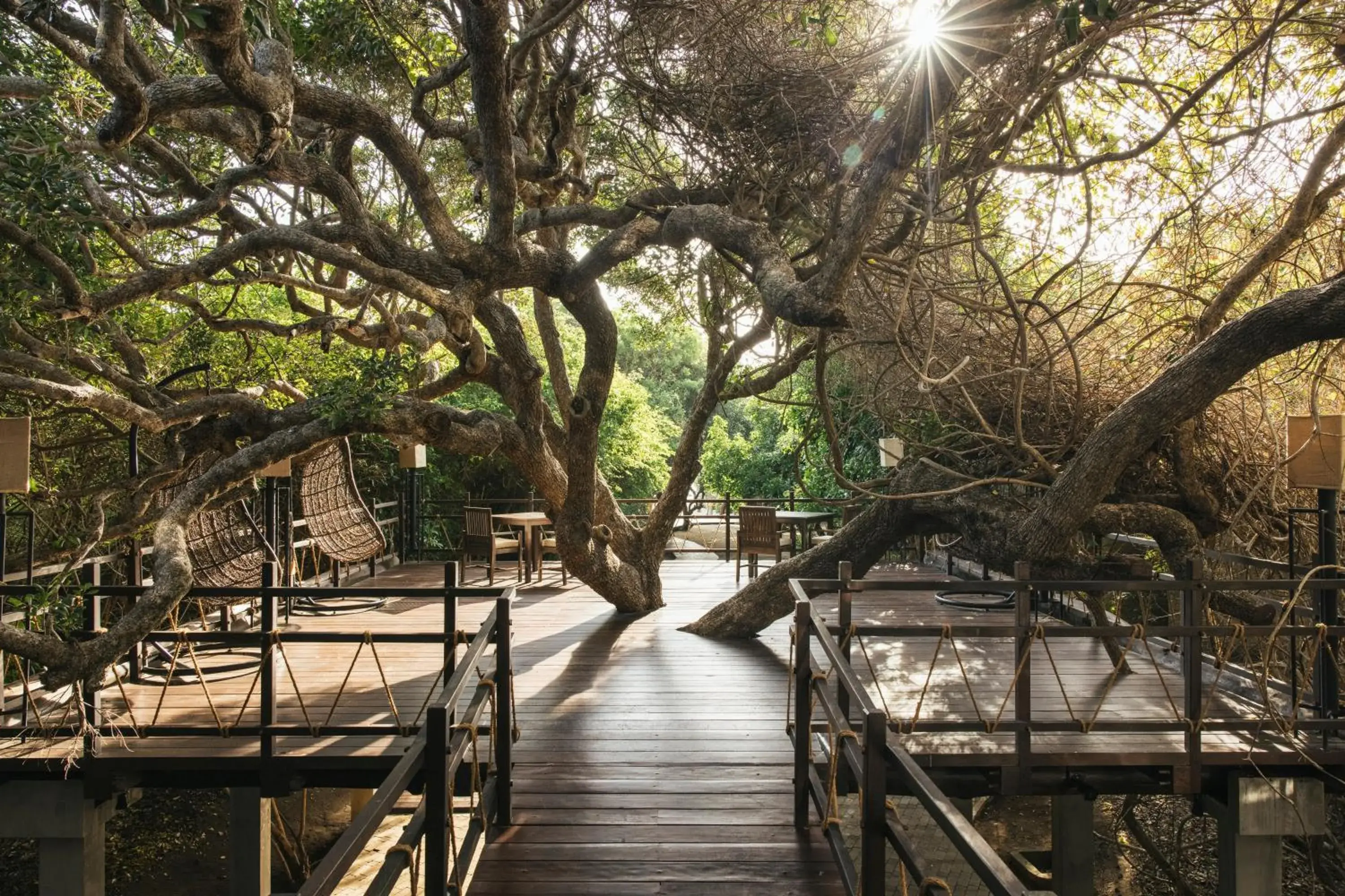 Lounge or bar in Uga Jungle Beach - Trincomalee Lounge or bar in Uga Jungle Beach - Trincomalee