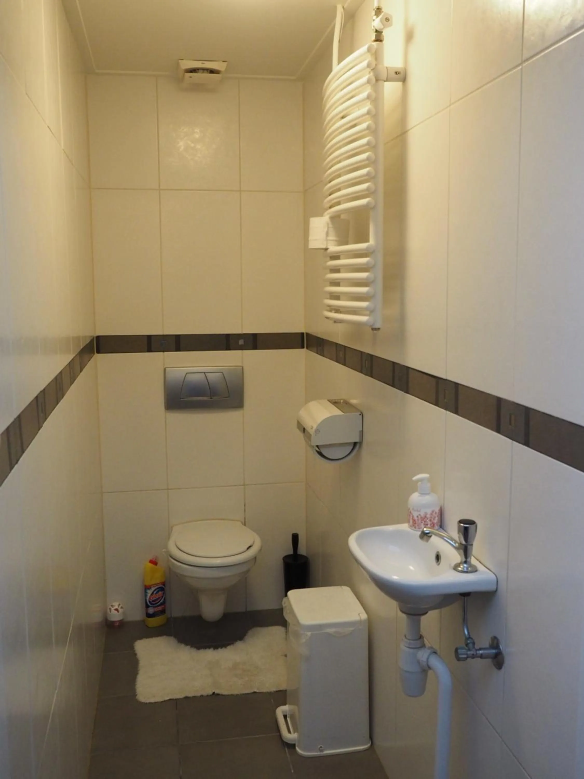 Toilet in Hotel 't Anker