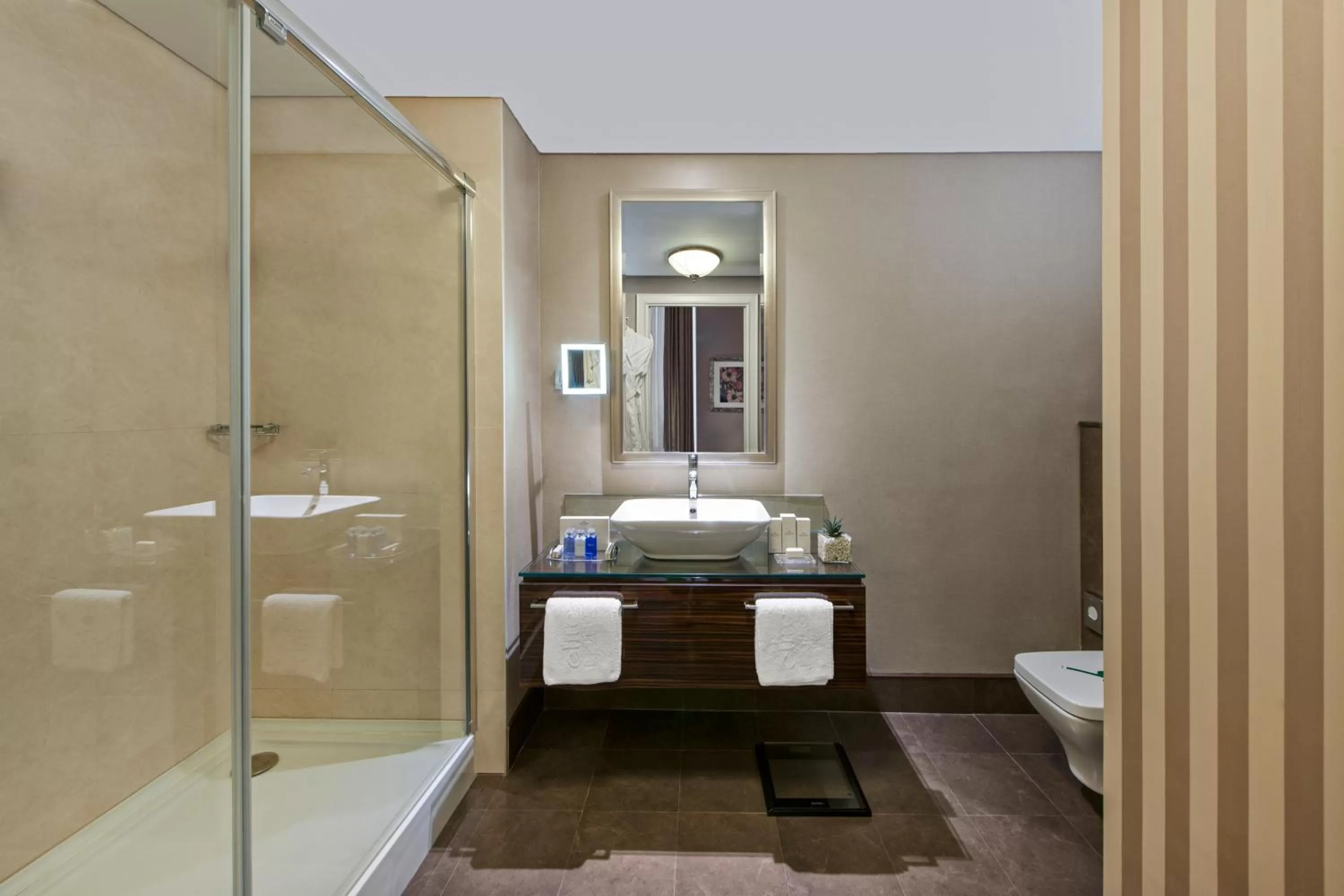 Toilet in Elite World Istanbul Florya