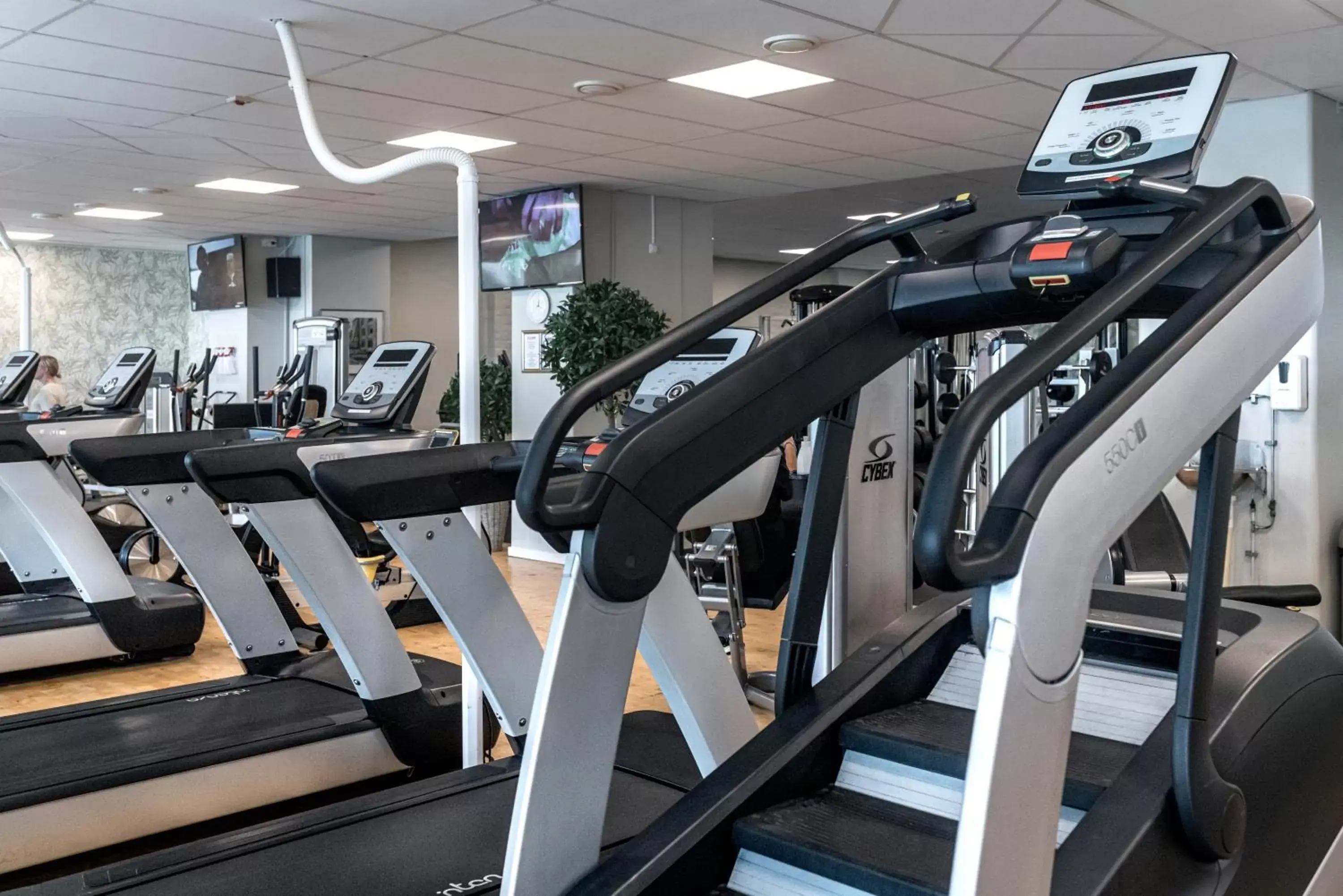 Fitness centre/facilities, Fitness Center/Facilities in Sunlight Hotel Conference & Spa