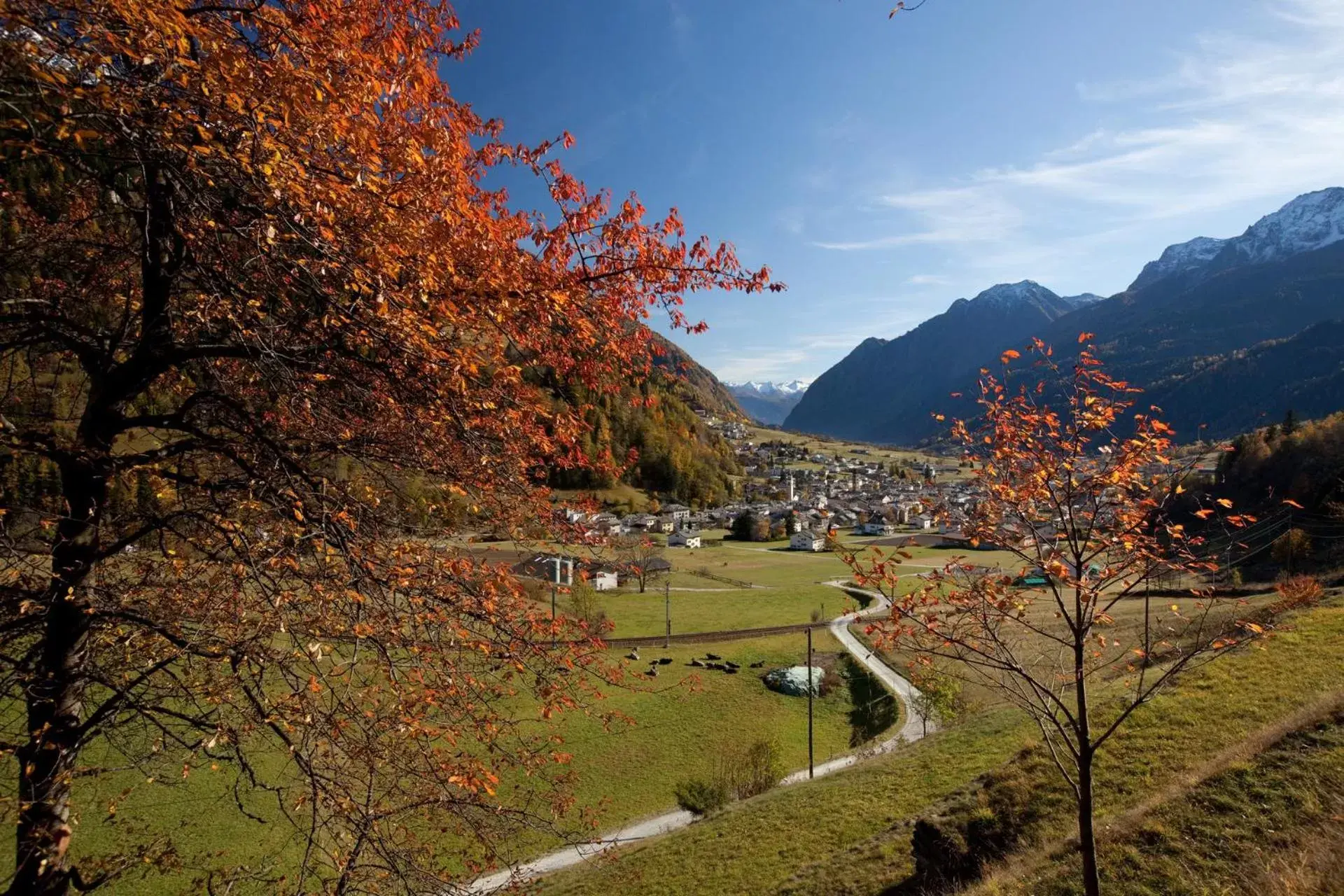 Natural landscape in Hotel Centrale, Typically Swiss