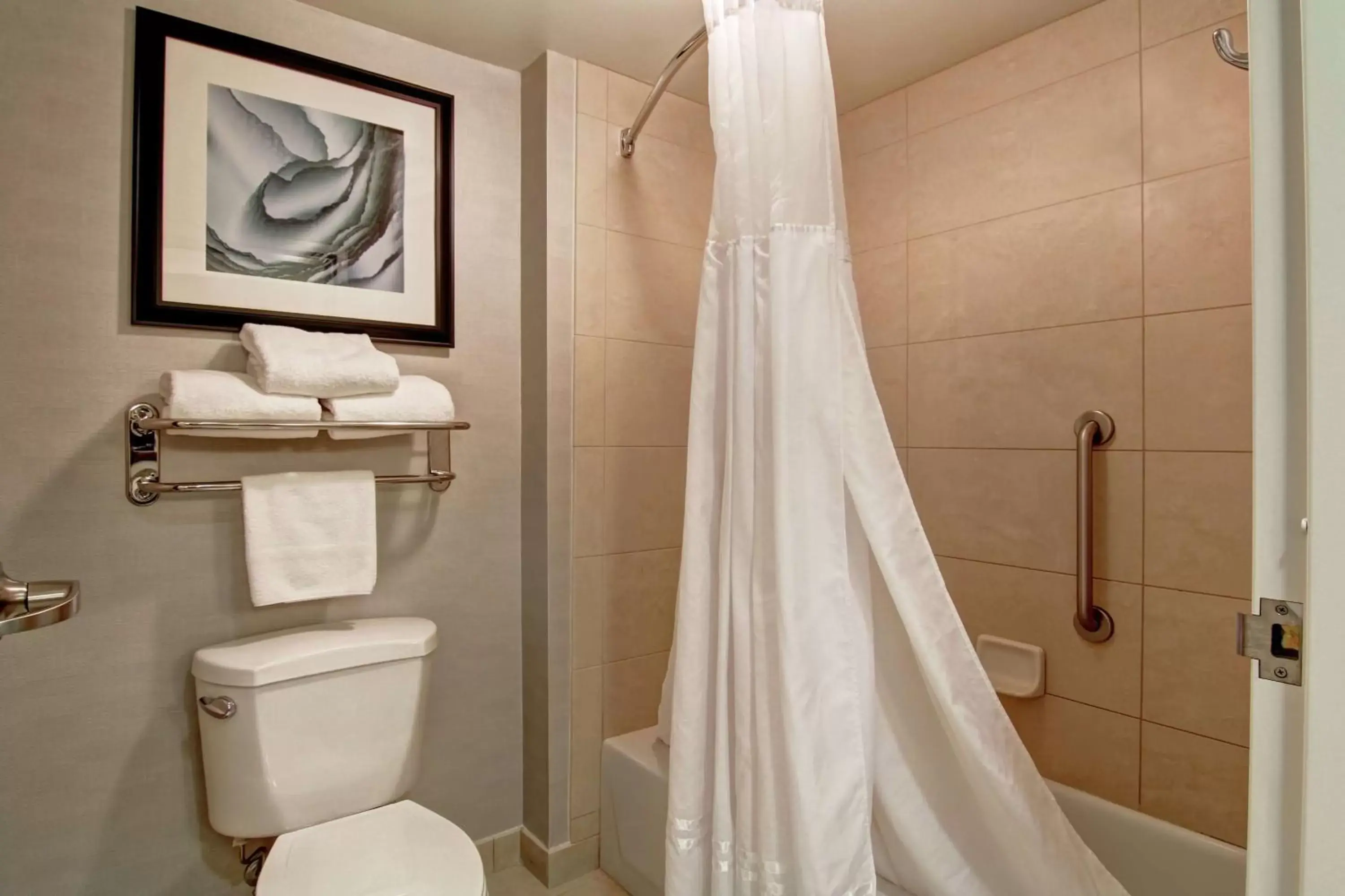 Bathroom in Homewood Suites by Hilton Bentonville-Rogers