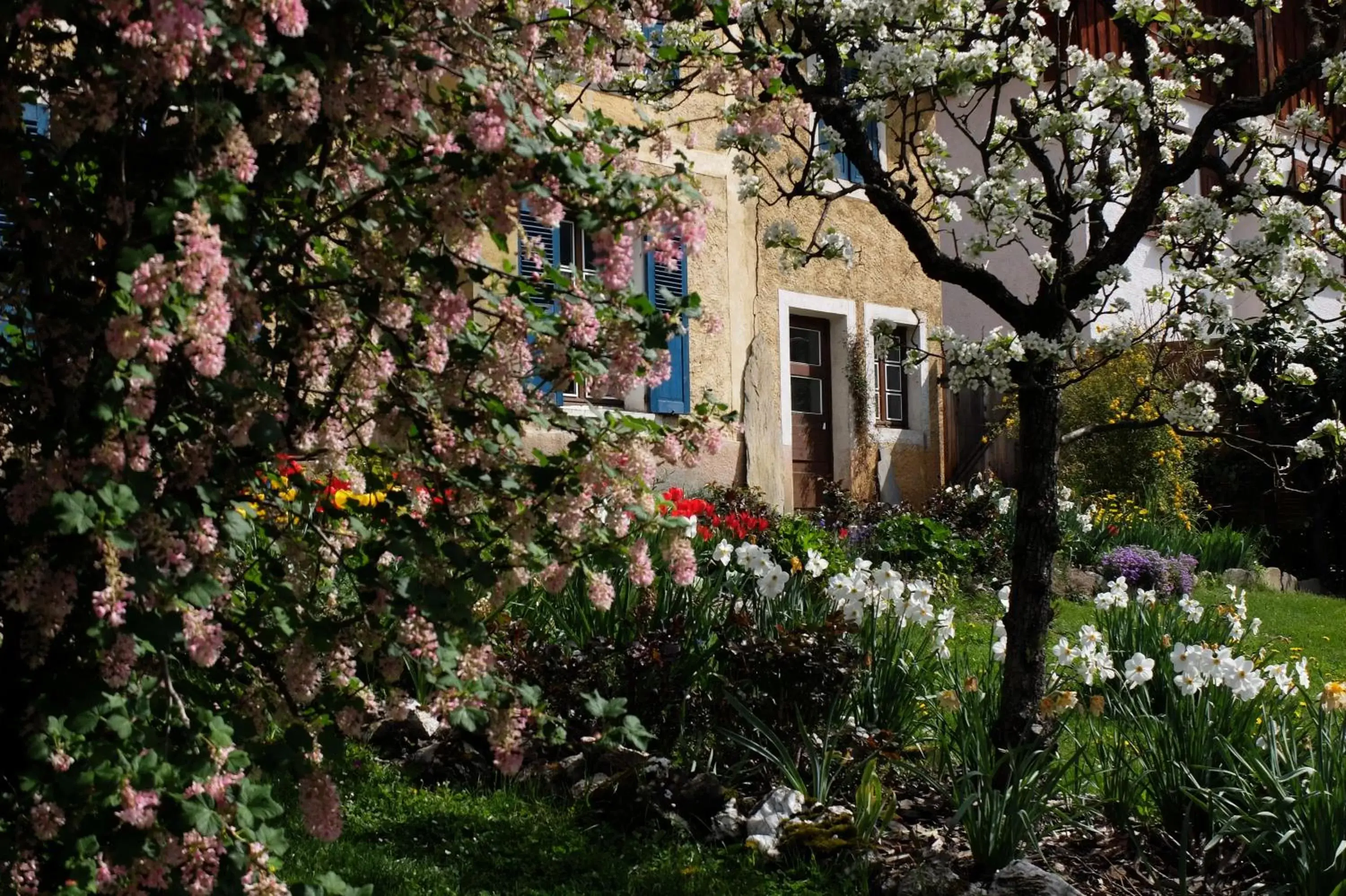 Property Building in La Foyère