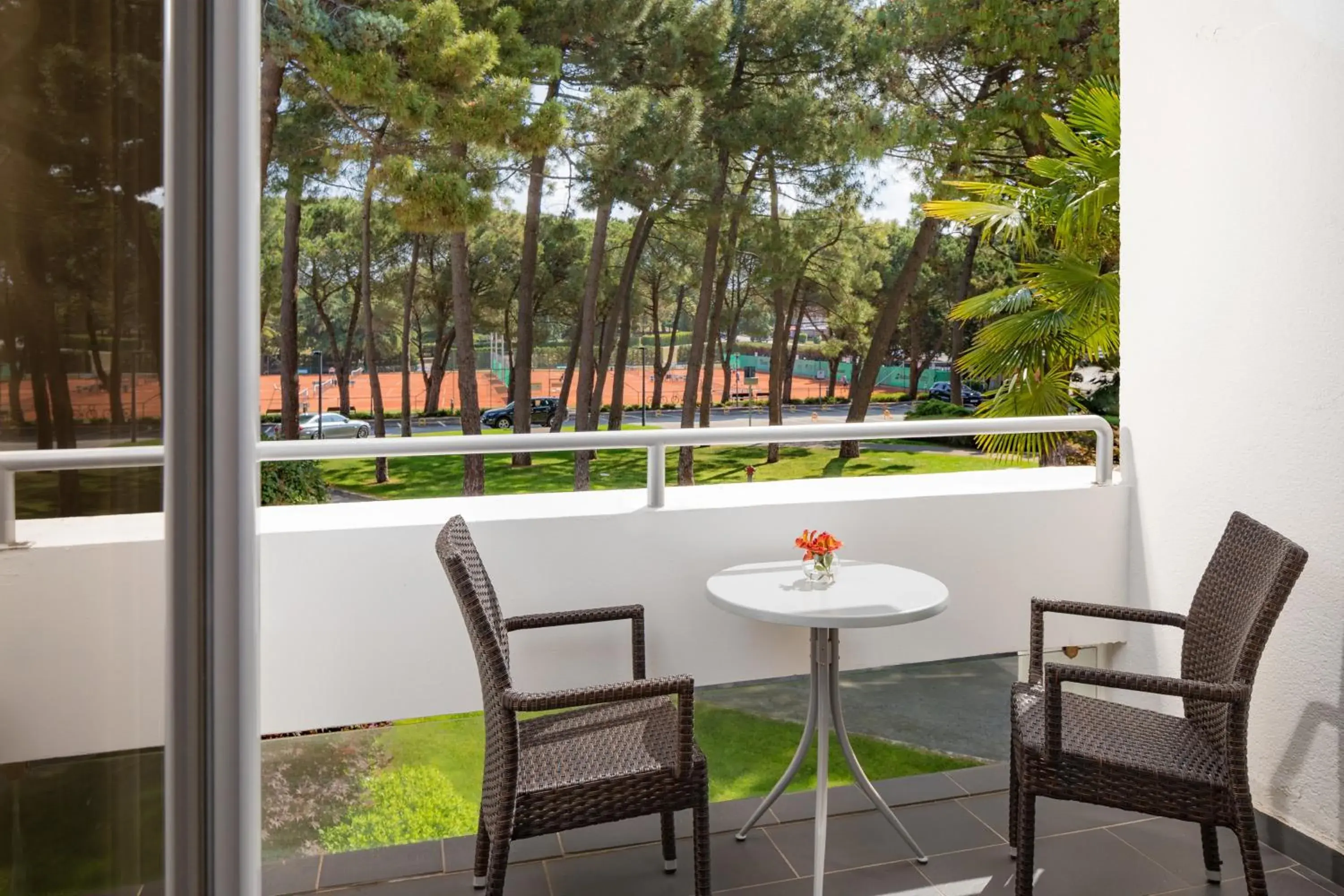 Balcony/Terrace in Hotel Melia Coral for Plava Laguna