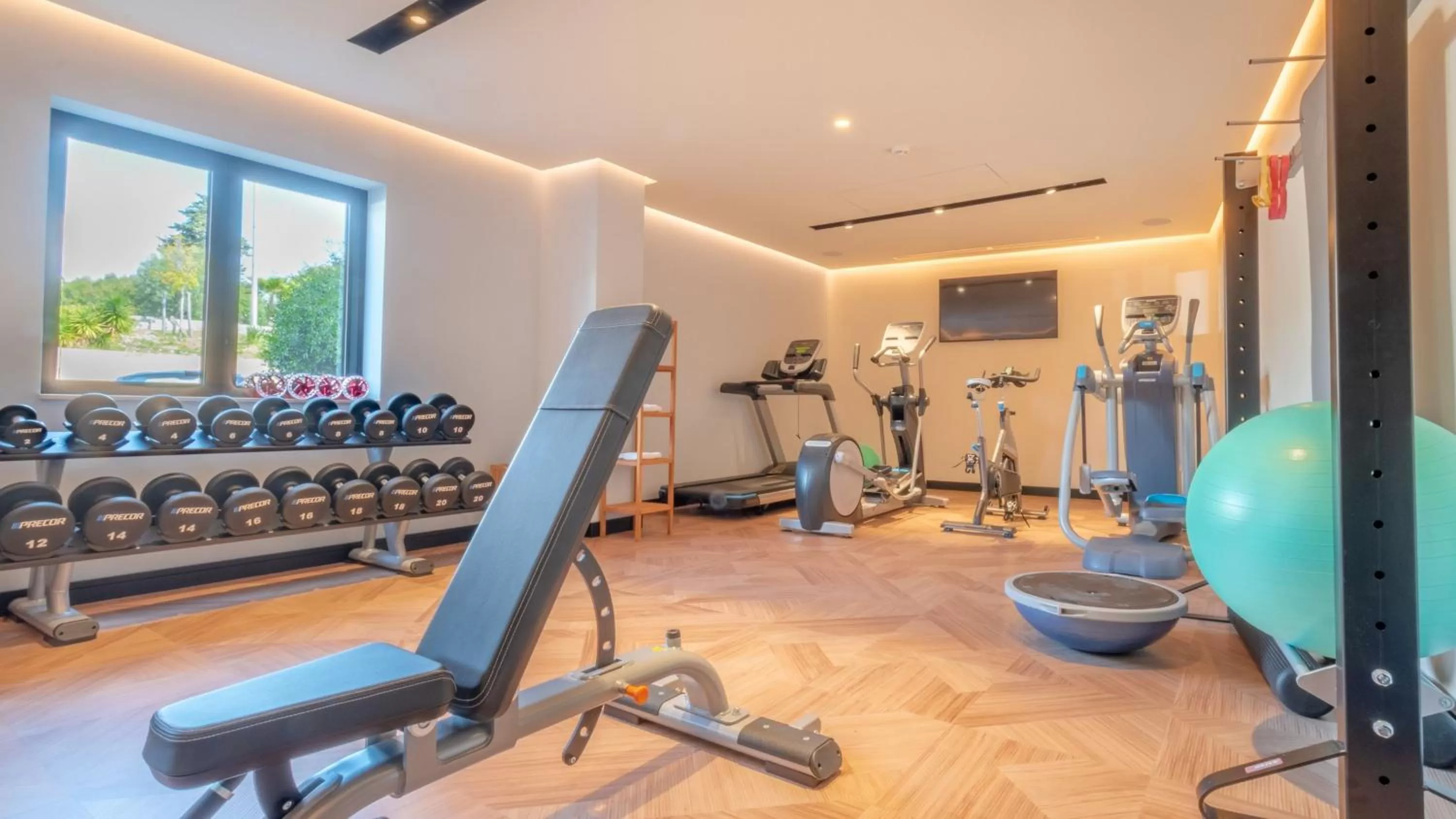 Fitness centre/facilities in Holiday Inn Nice - Port St Laurent by IHG