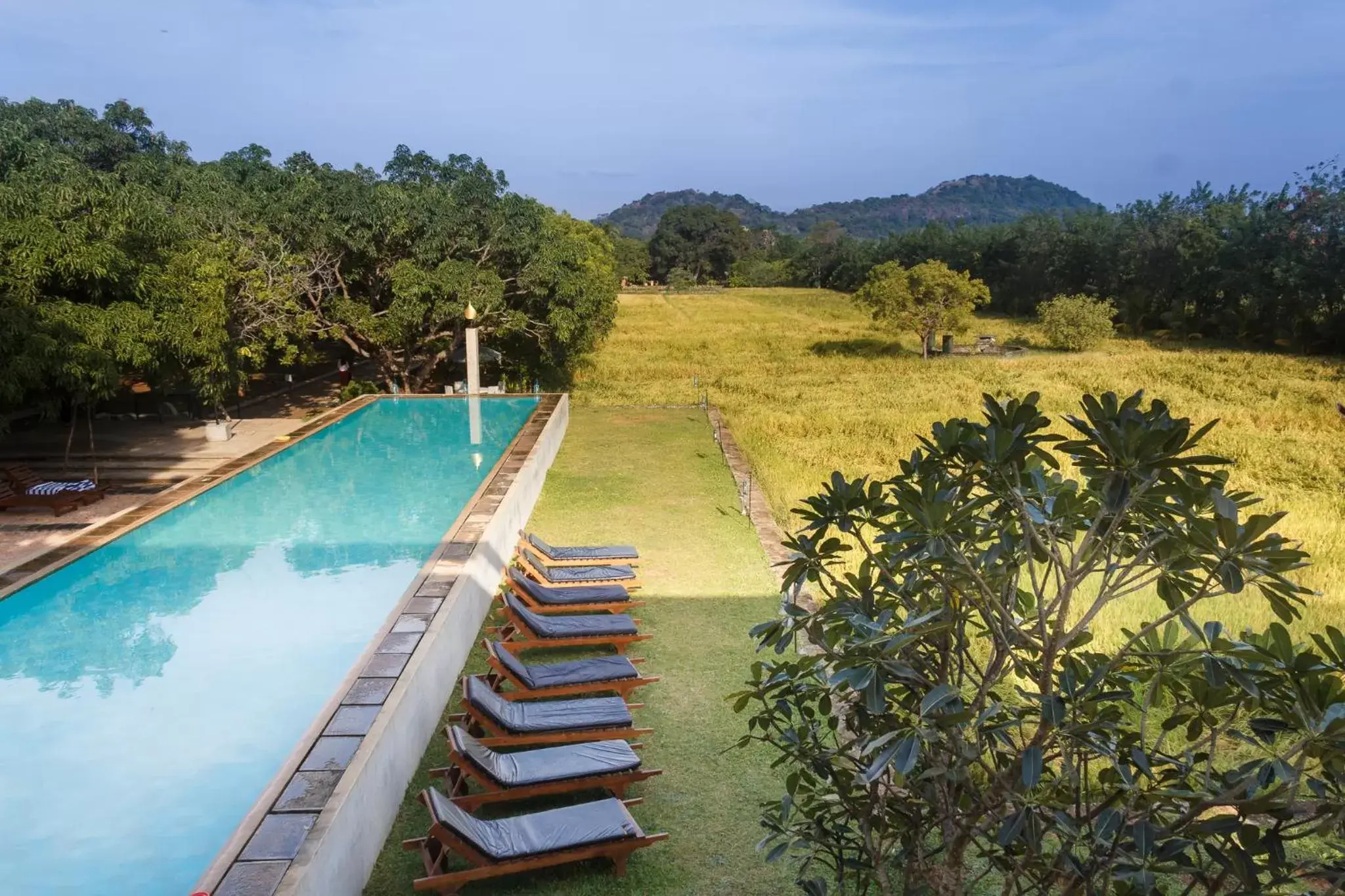 Pool View in Sigiriana Resort by Thilanka