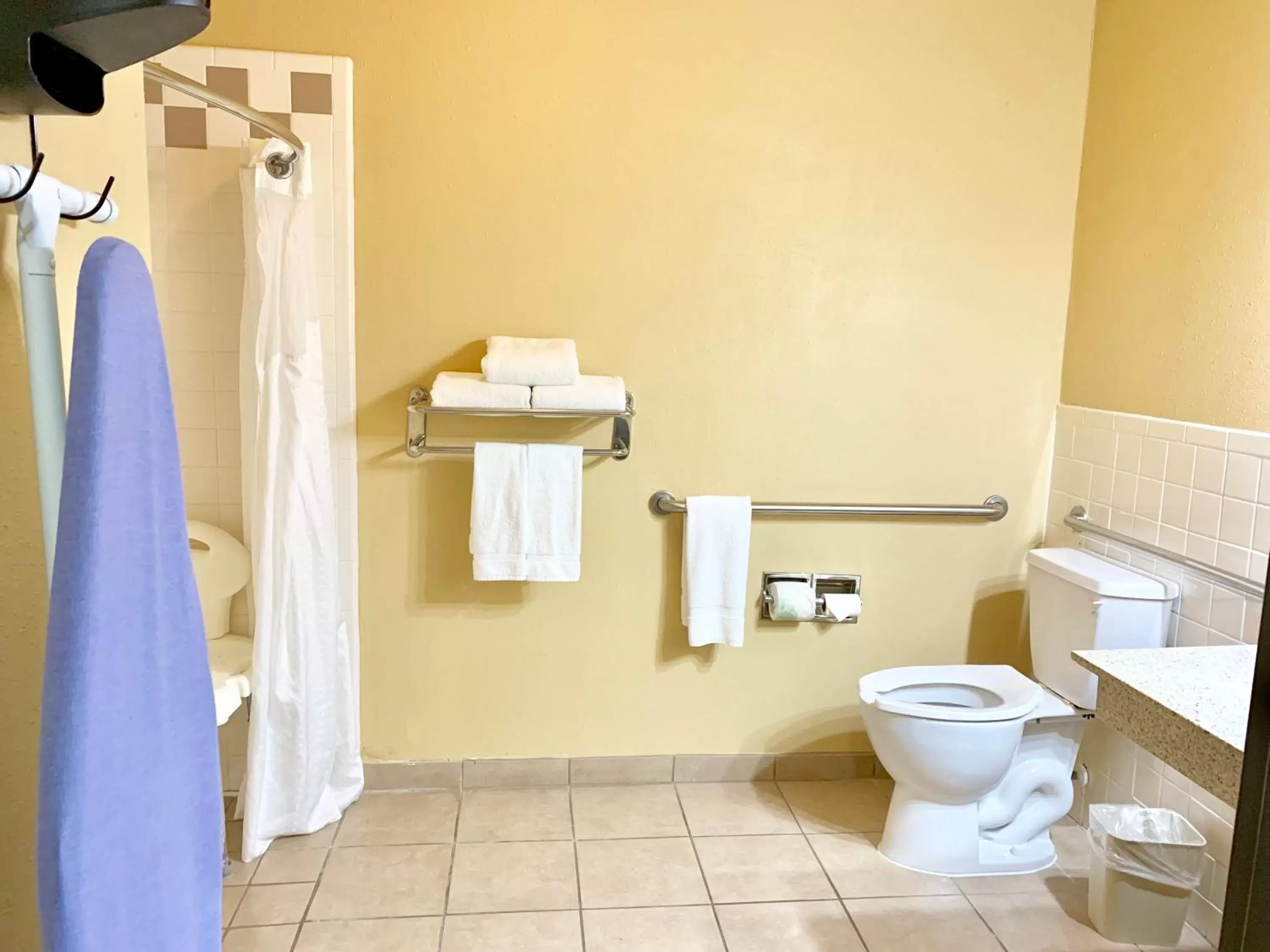 Photo of the whole room, Bathroom in Holiday Inn Express Hotel and Suites Alice, an IHG Hotel