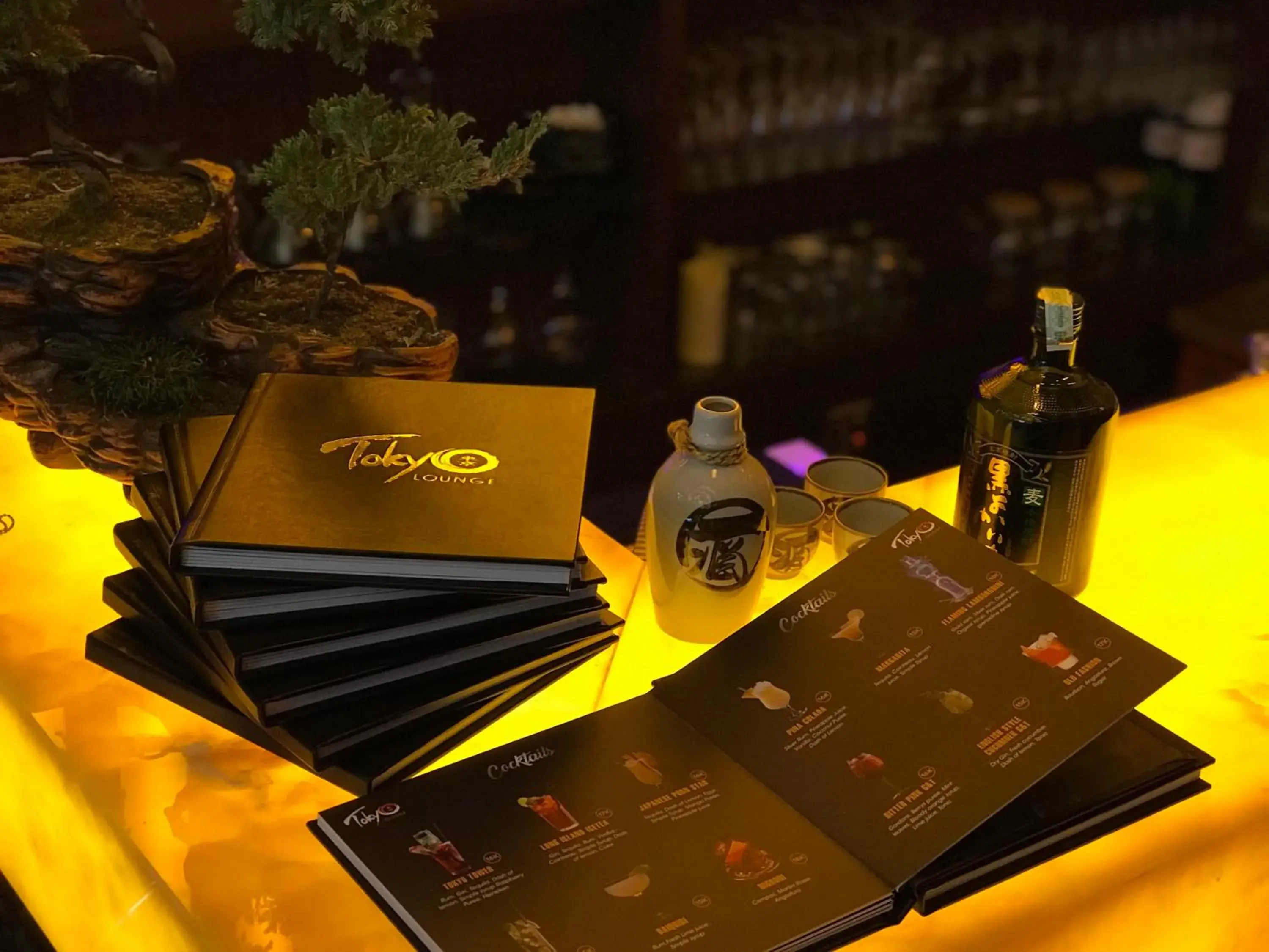 Lounge or bar in Flower Hotel Ulaanbaatar Lounge or bar in Flower Hotel Ulaanbaatar