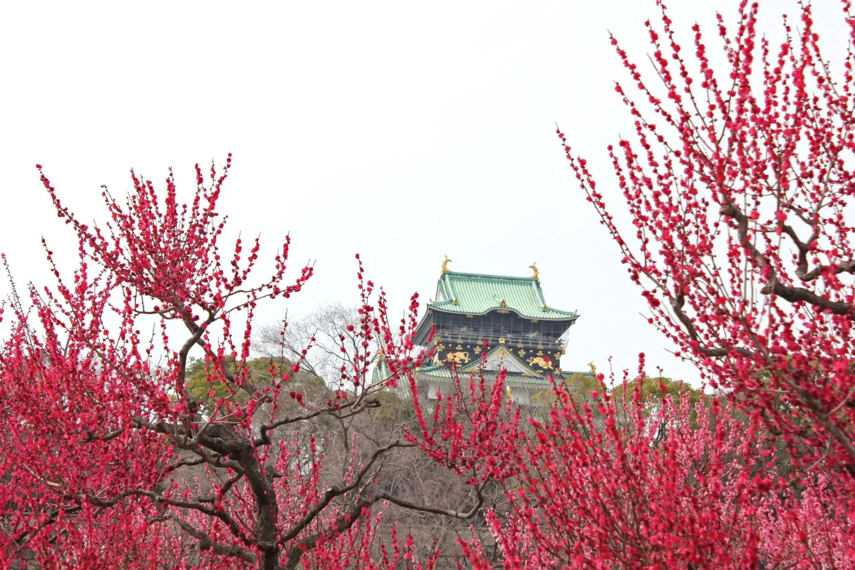 Nearby landmark, Property Building in Hotel Wing International Select Higashi Osaka