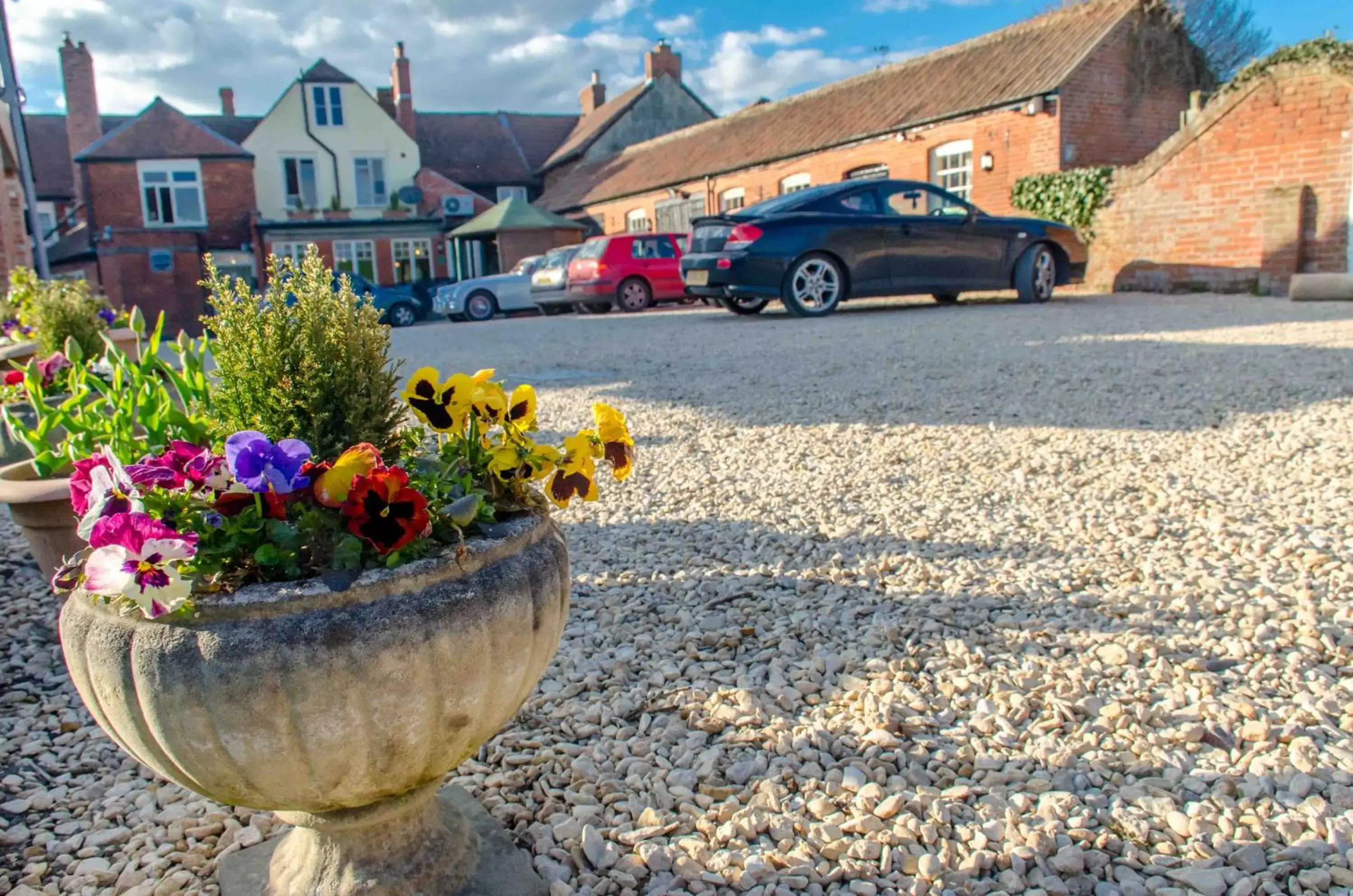 Garden in The Green Dragon