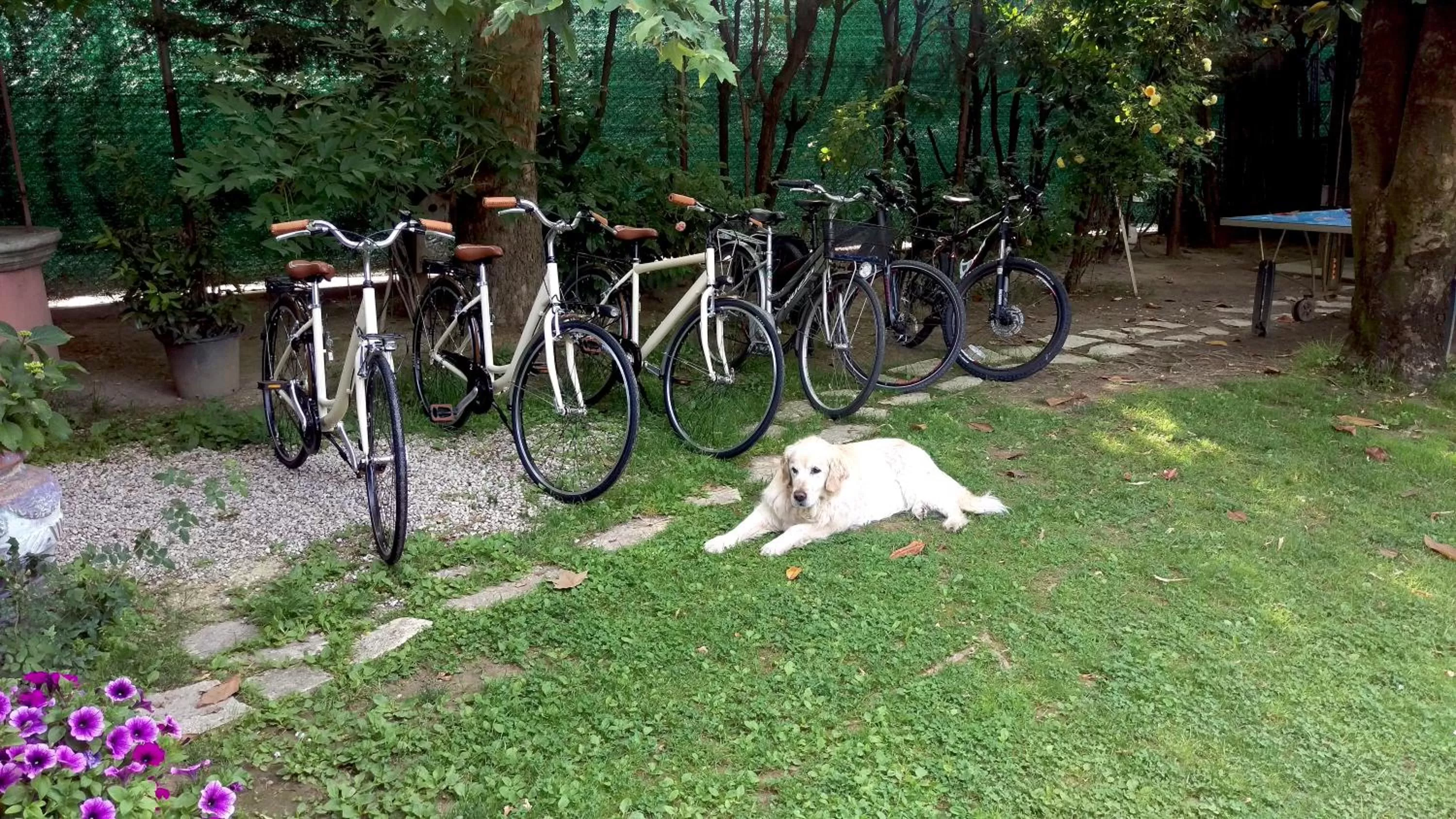 Location in B&B Casa Camilla