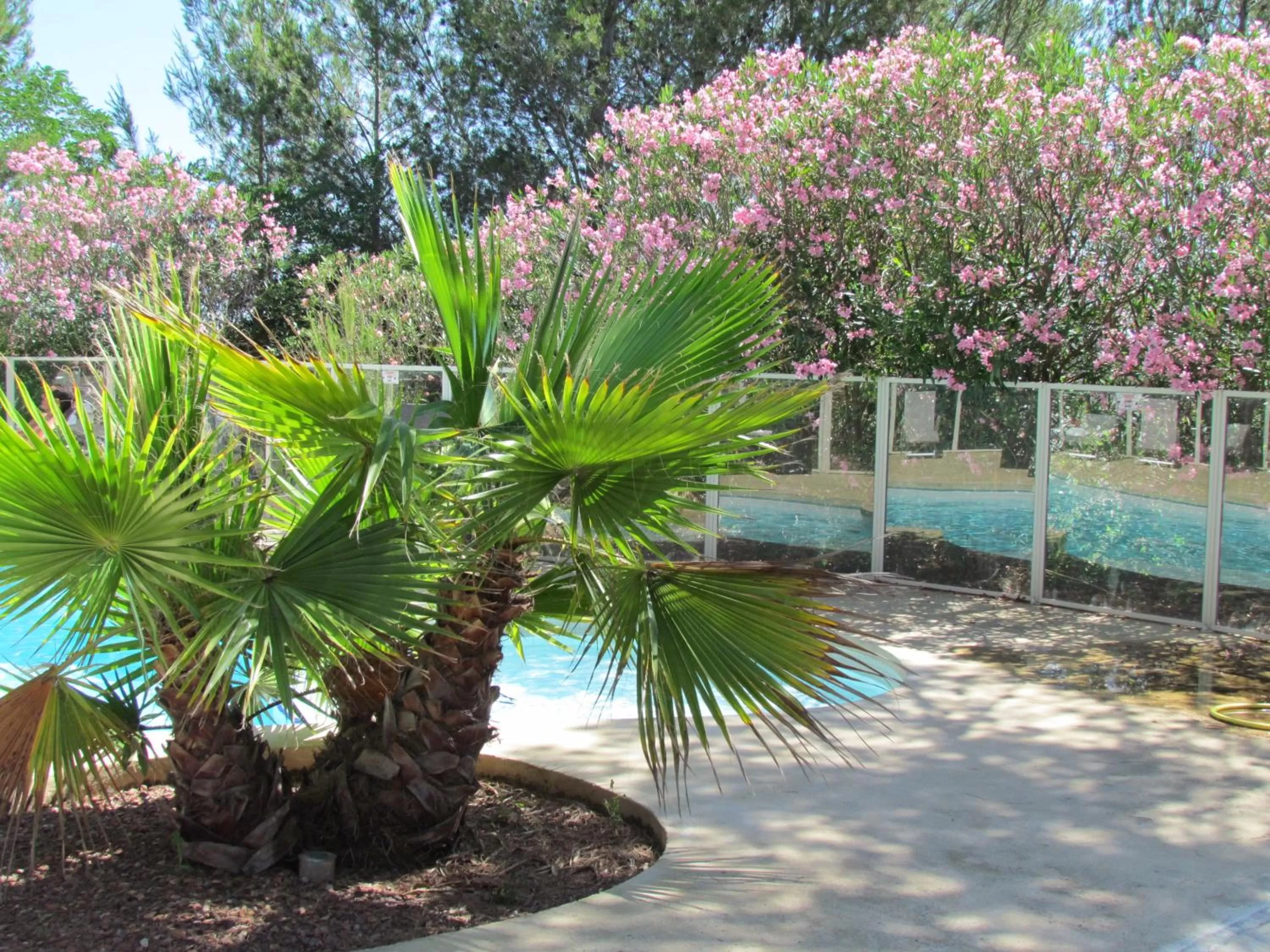 Patio in Kyriad Montpellier Nord Parc Euromédecine