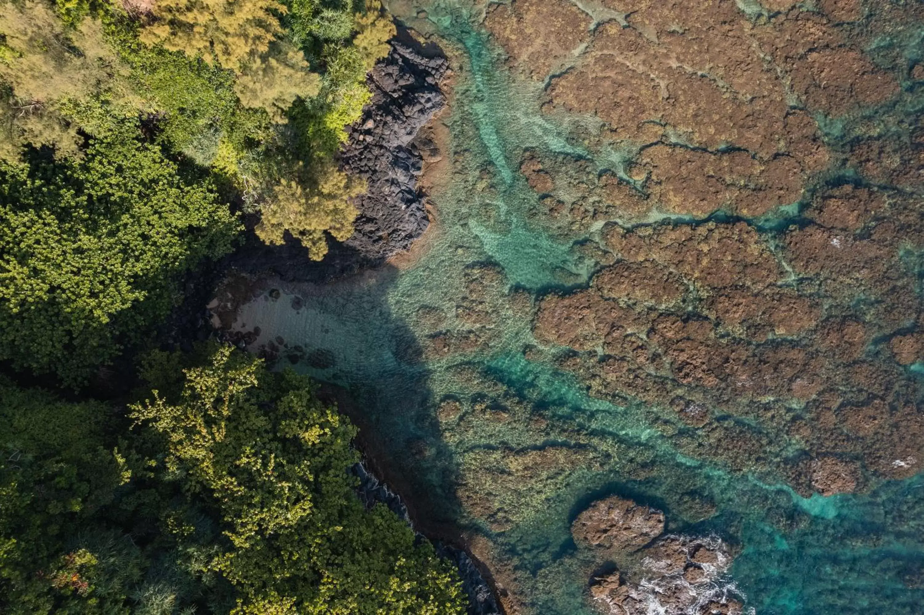 Bird's eye view in The Cliffs at Princeville