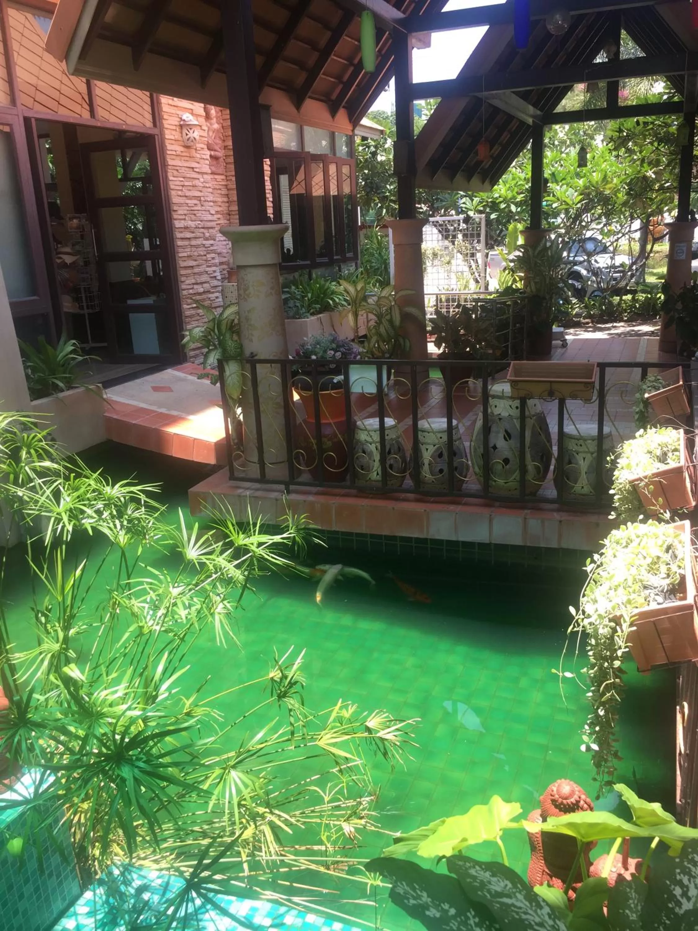 Animals in Wannara Hotel Hua Hin