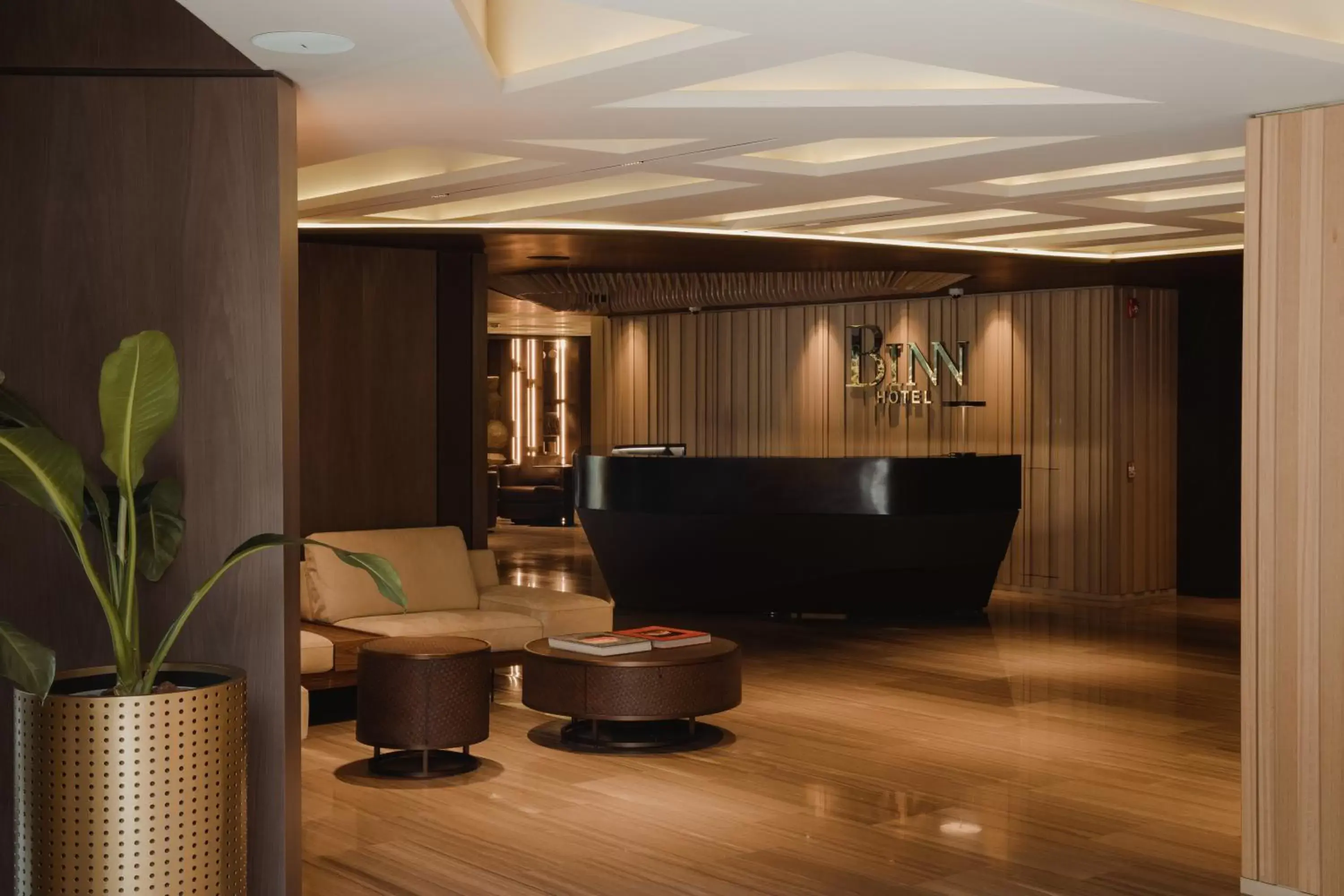 Lobby or reception, Lobby/Reception in Binn Hotel