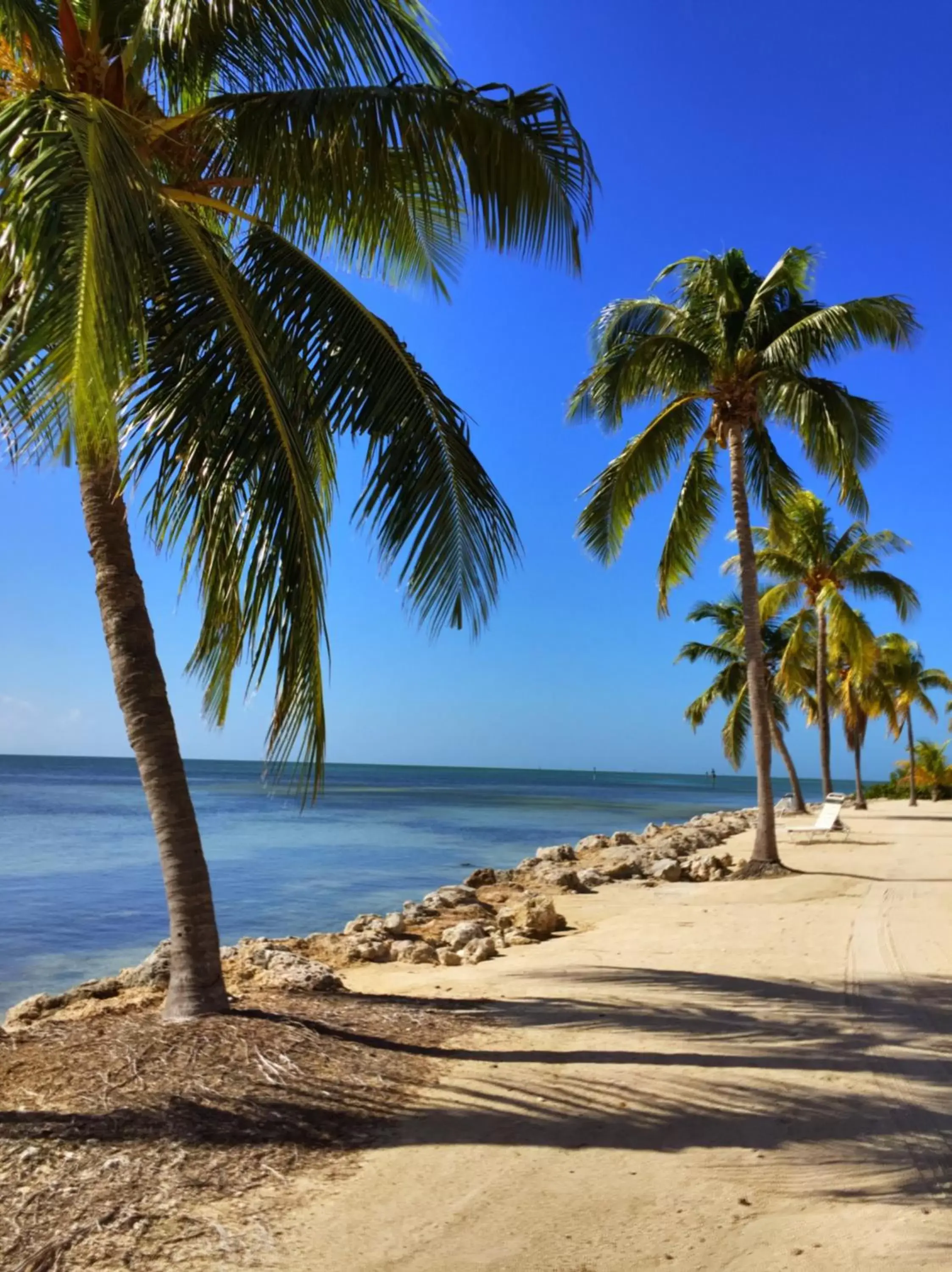 Beach, Natural Landscape in Caloosa Cove Resort - With Full Kitchens