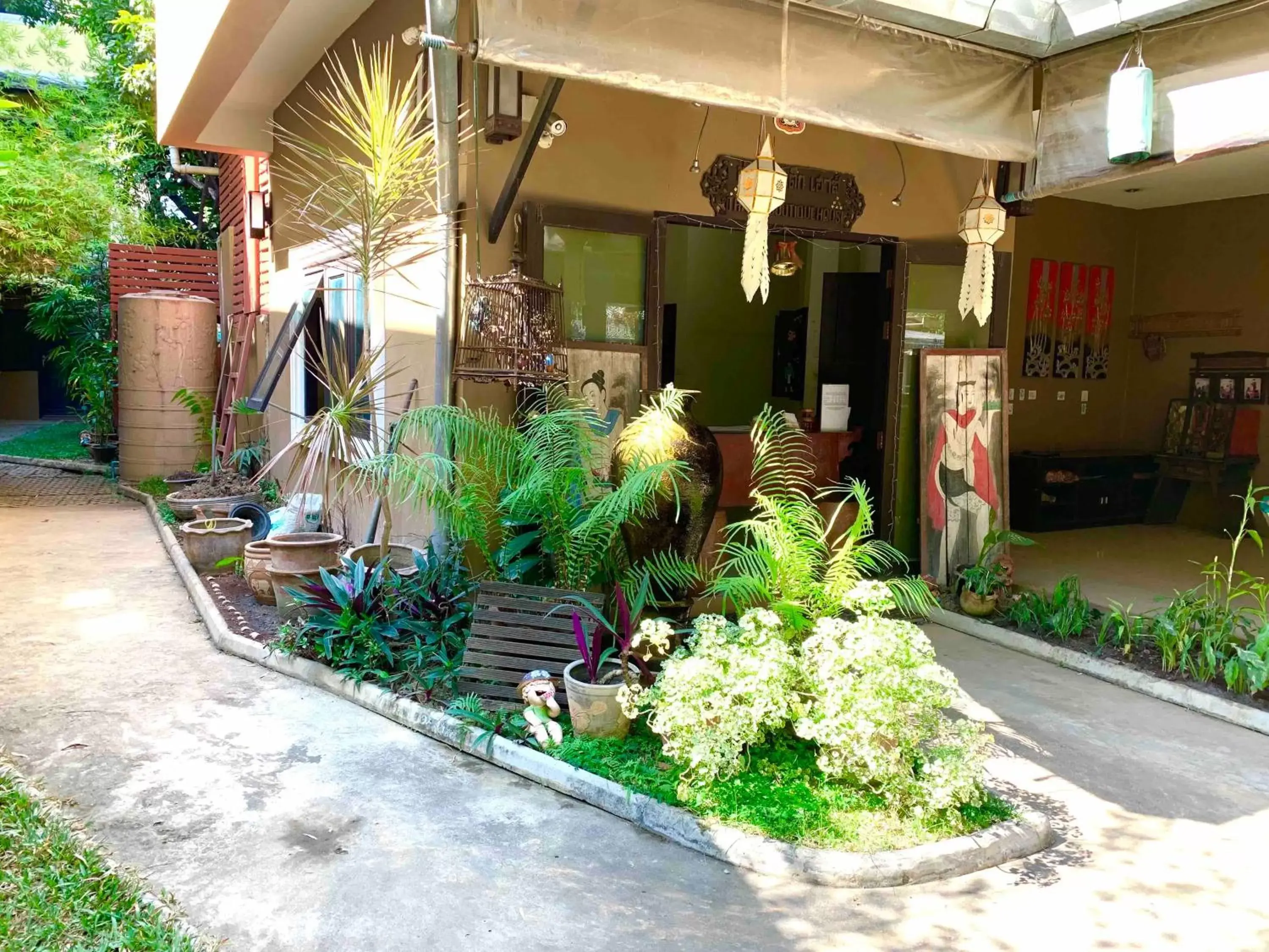 Garden in Thapae Boutique House