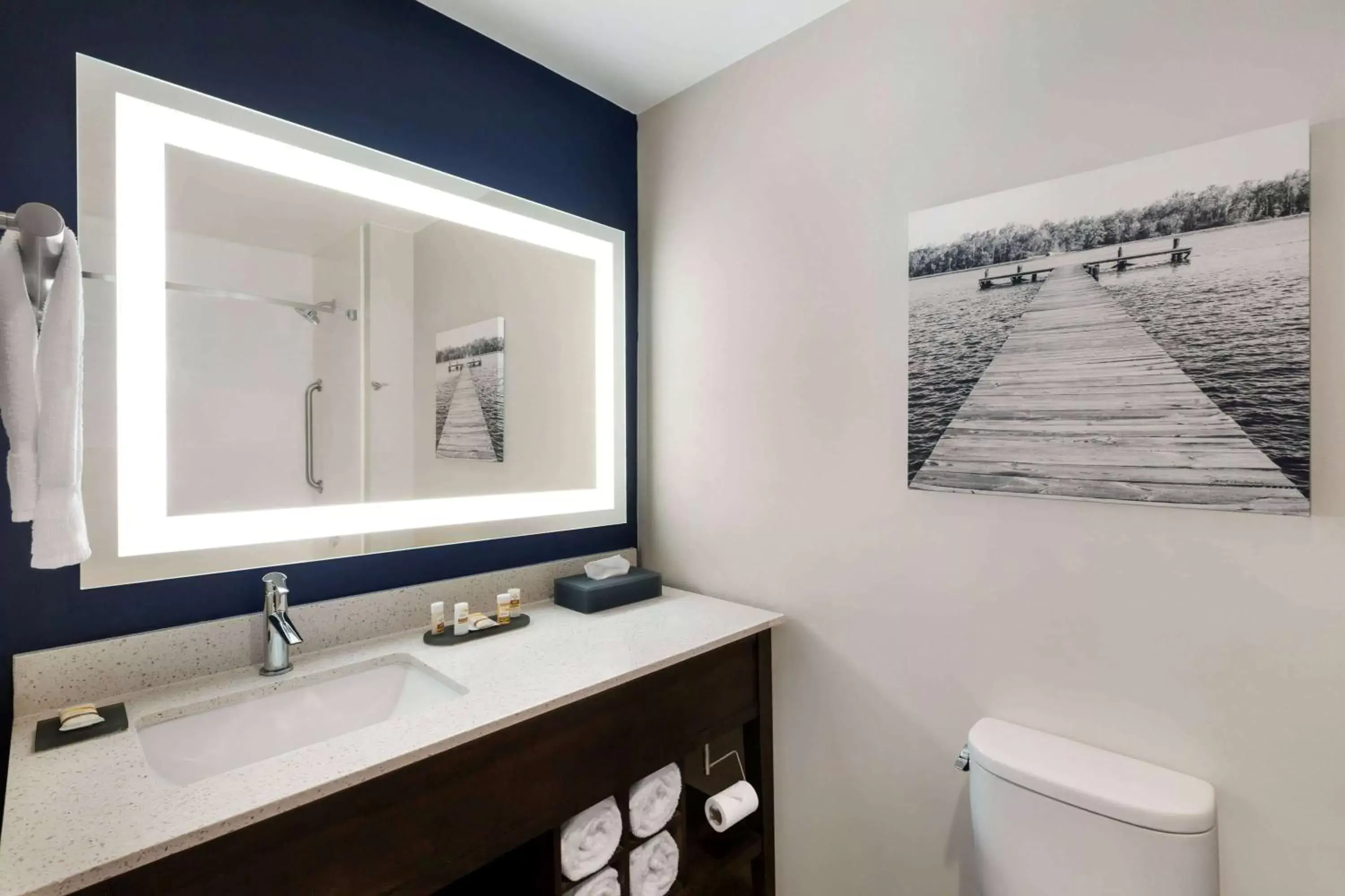 Shower, Bathroom in La Quinta by Wyndham Rock Hill