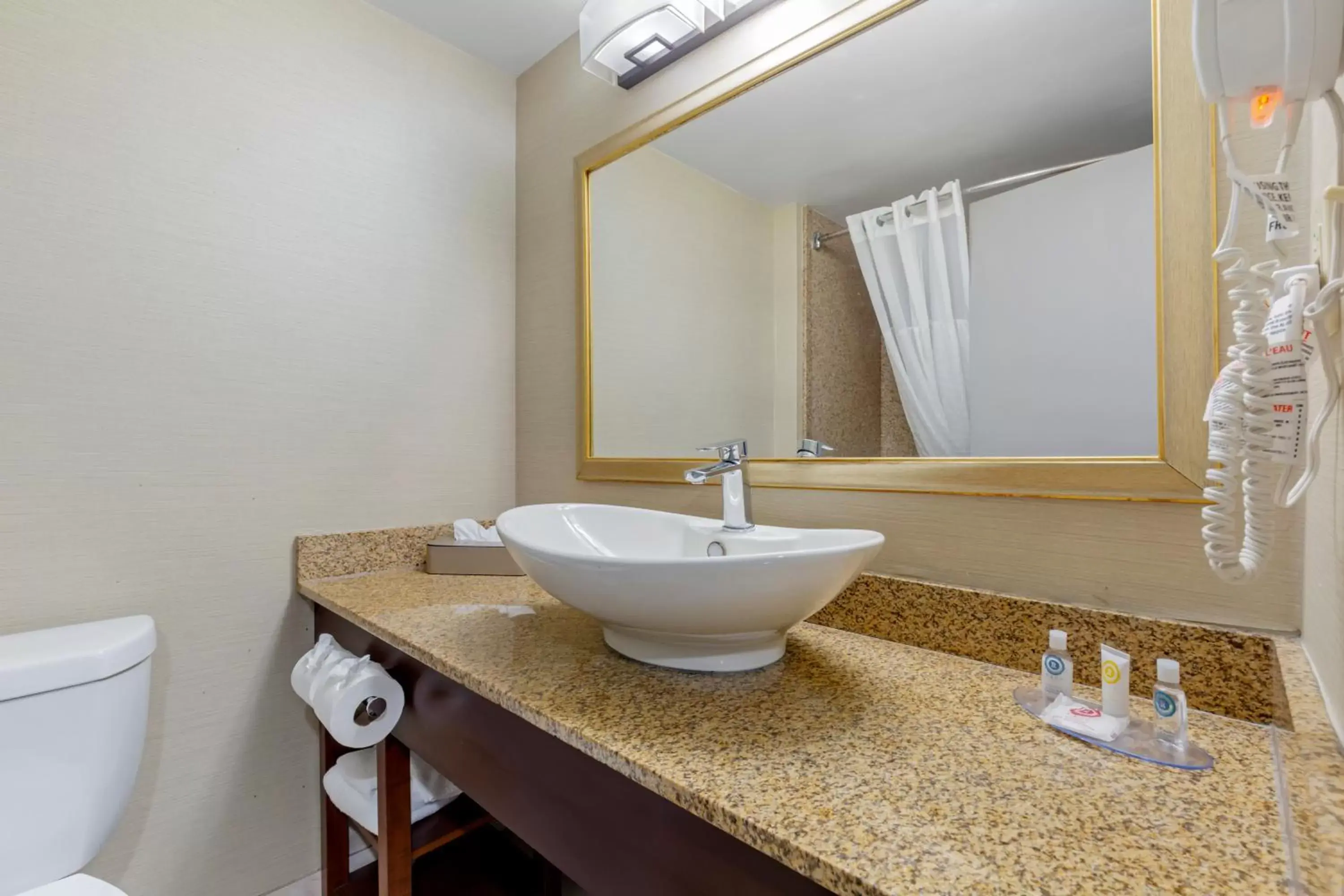 Bathroom in Comfort Inn Herndon-Reston