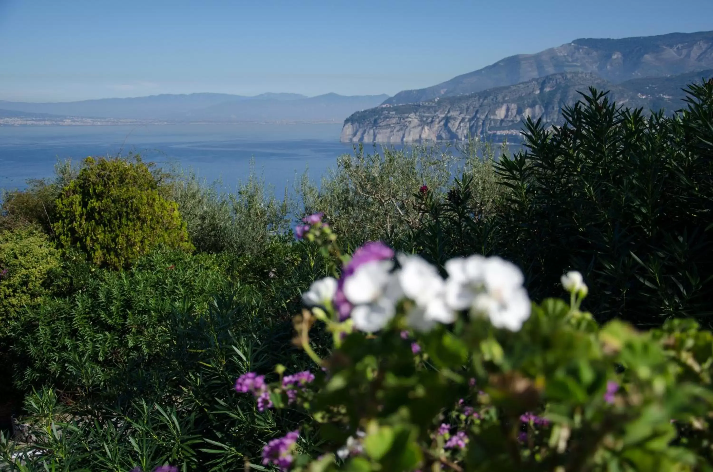 Sea view, Mountain View in Grand Hotel Aminta