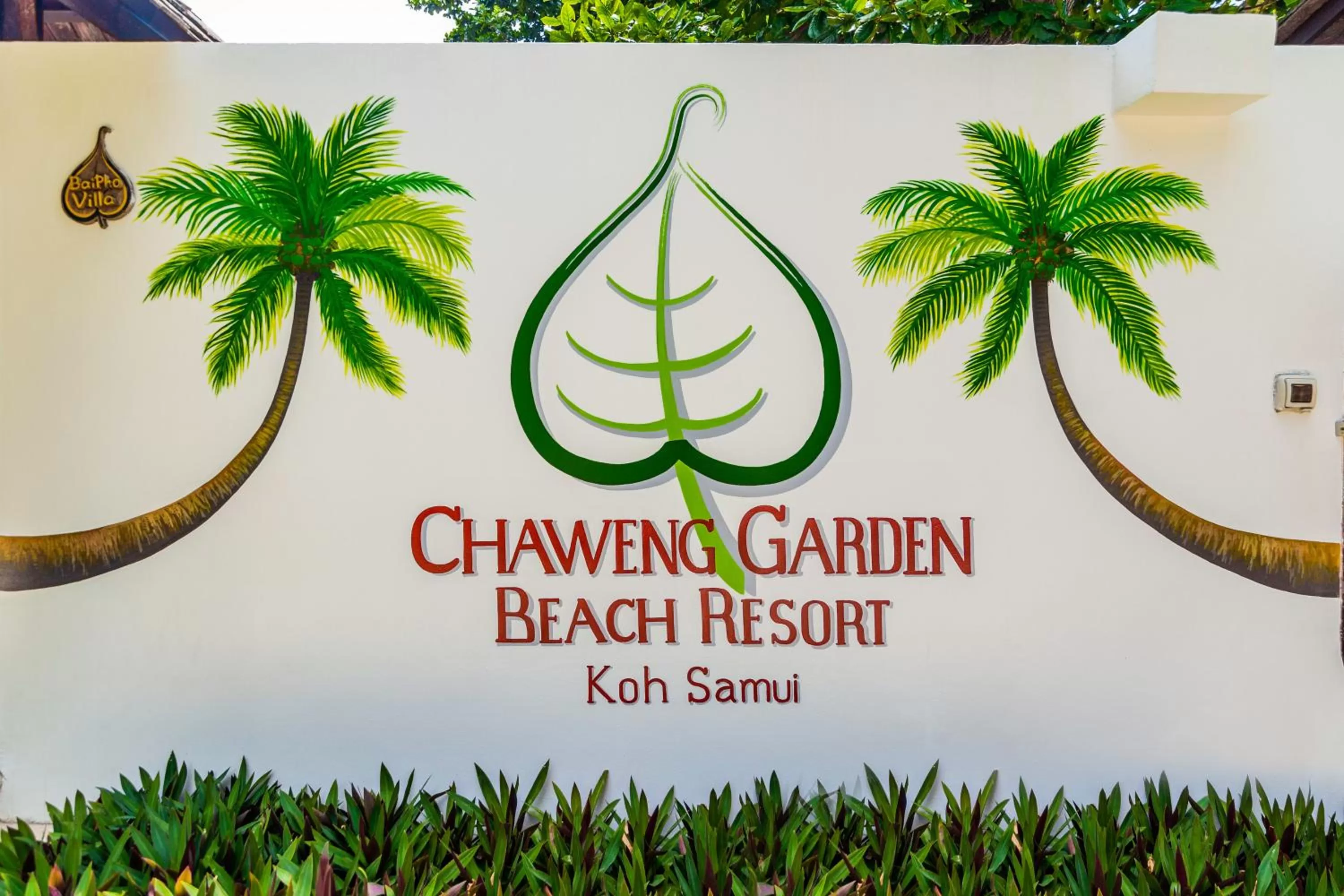 Area and facilities in Chaweng Garden Beach Resort - SHA Plus