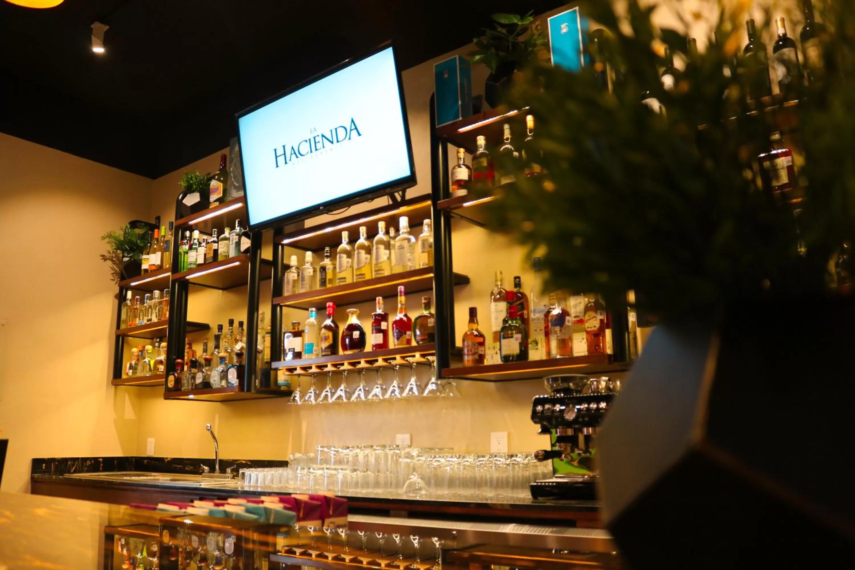 Restaurant/places to eat in Hotel Agua Escondida