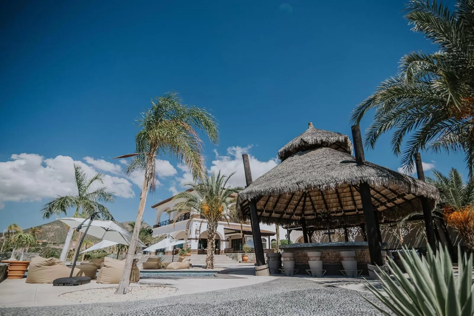 Property building in Orchid House Baja