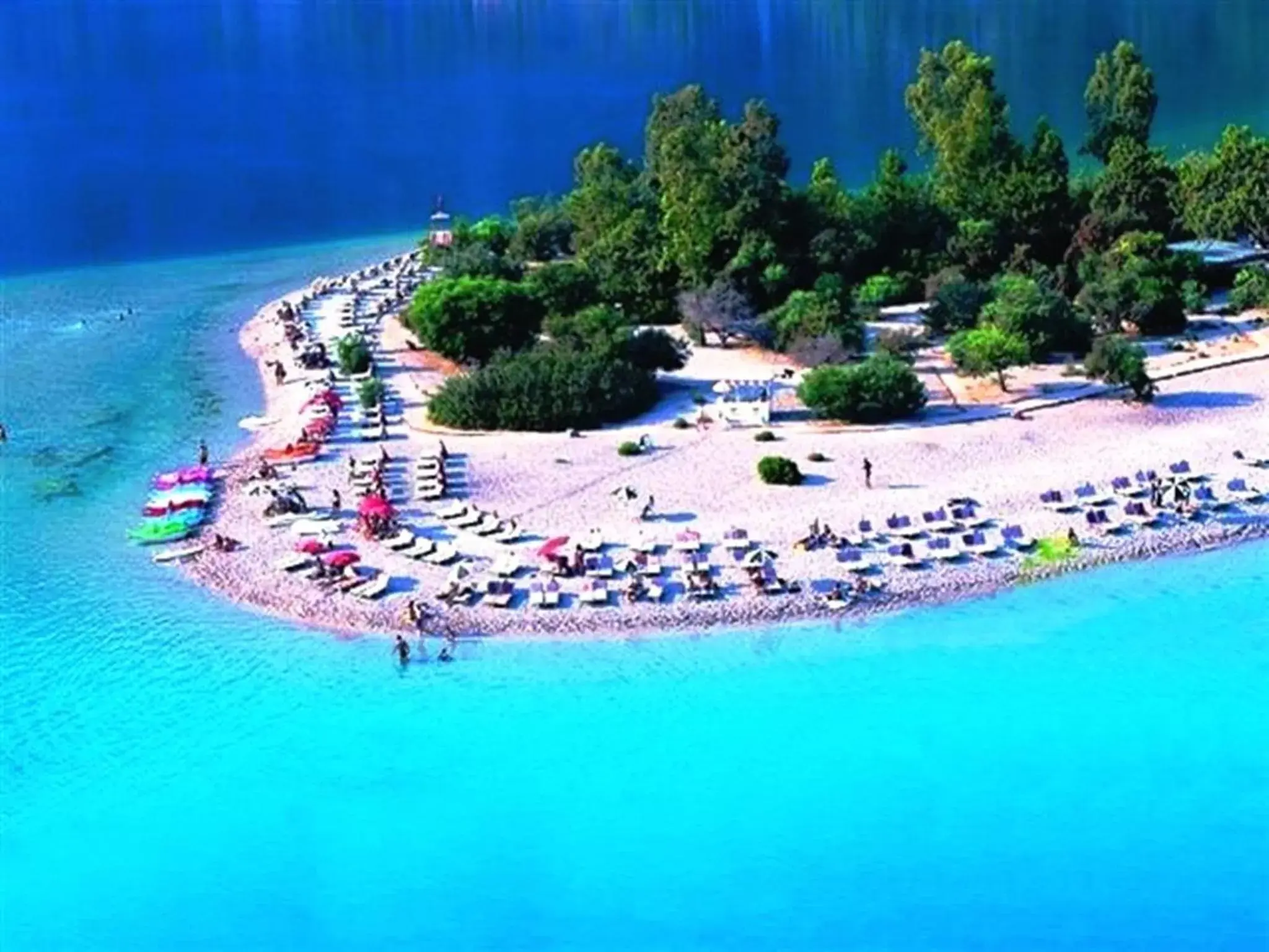 Garden, Bird's-eye View in Magic Tulip Beach Hotel