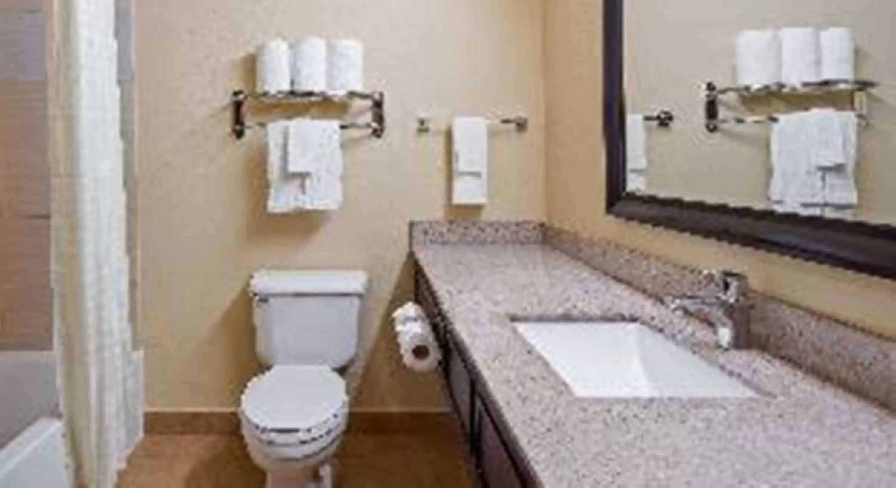 Bathroom in Best Western Plus Addison/Dallas Hotel