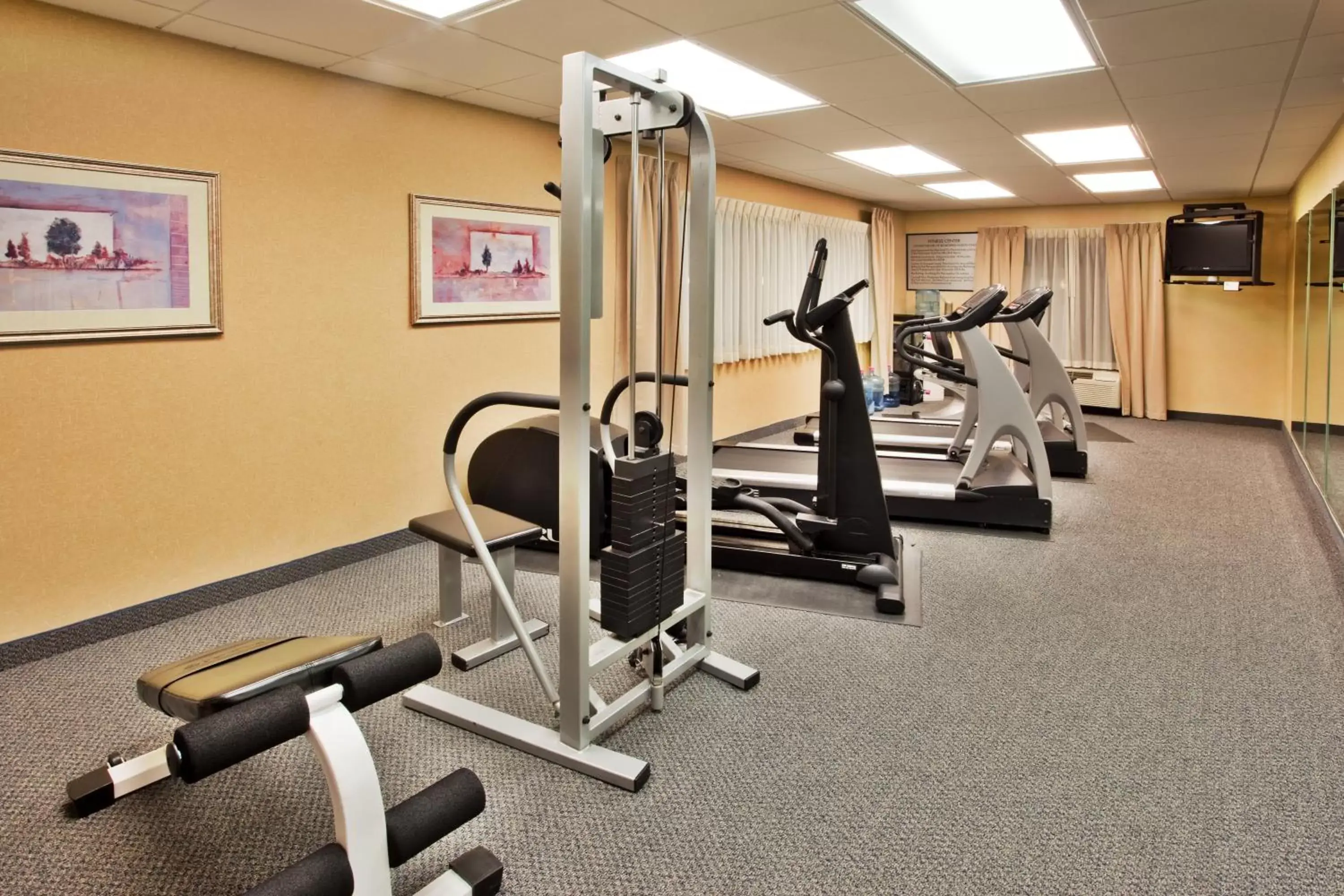 Fitness centre/facilities, Fitness Center/Facilities in Holiday Inn Express Hotel & Suites McDonough, an IHG Hotel