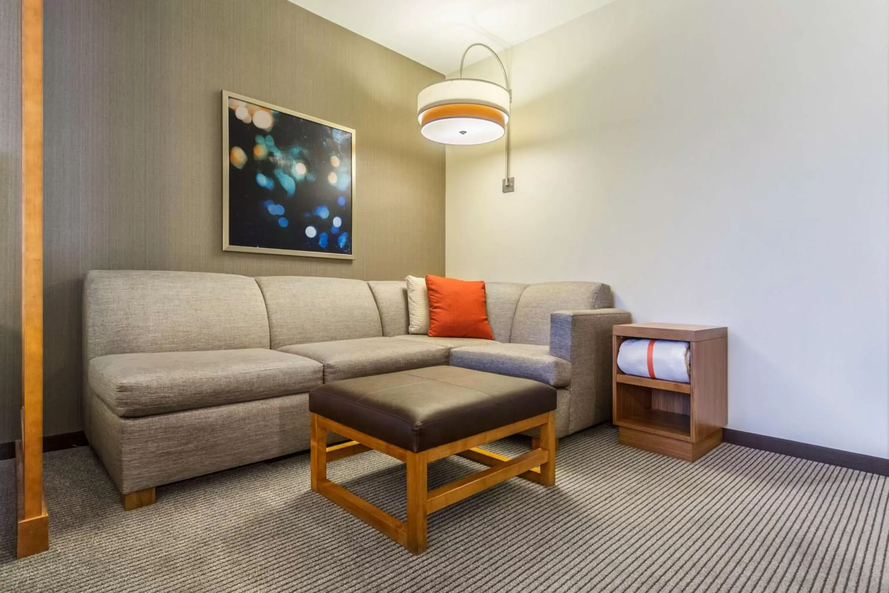 Photo of the whole room, Seating Area in Hyatt Place Blacksburg/University