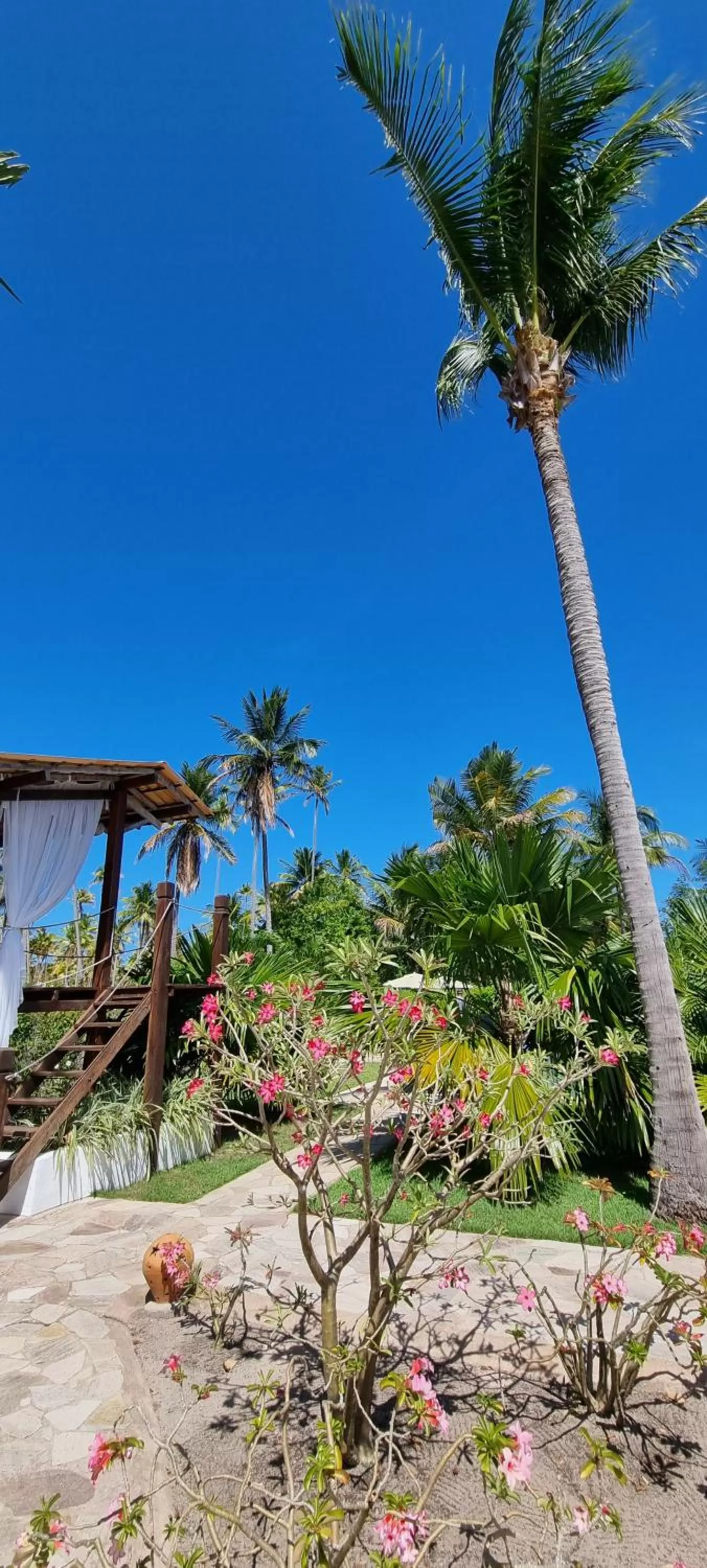 Garden in Pousada Villages Boutique Hotel - 150m da Praia da Laje