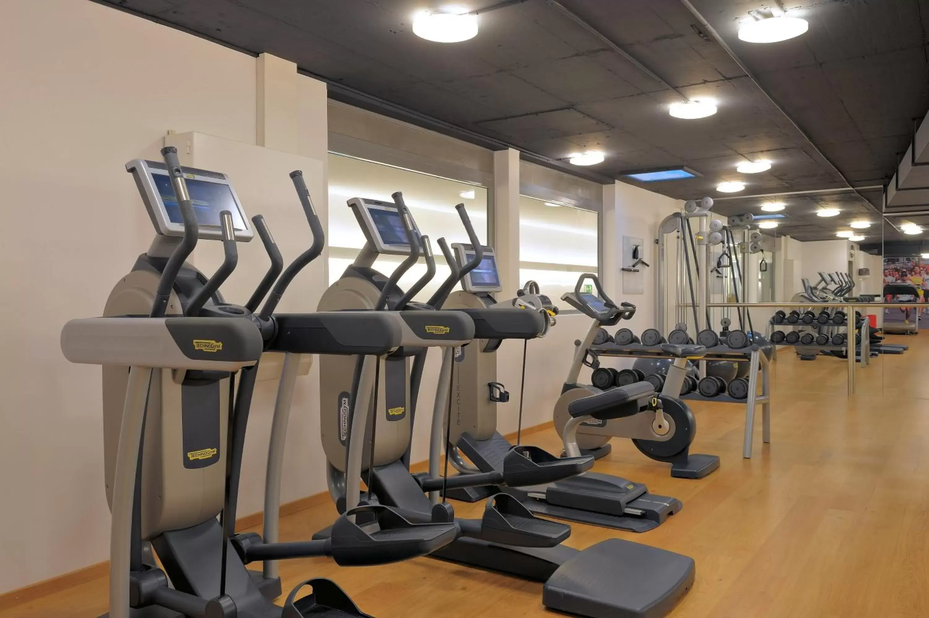 Fitness centre/facilities, Fitness Center/Facilities in Radisson Blu, Basel
