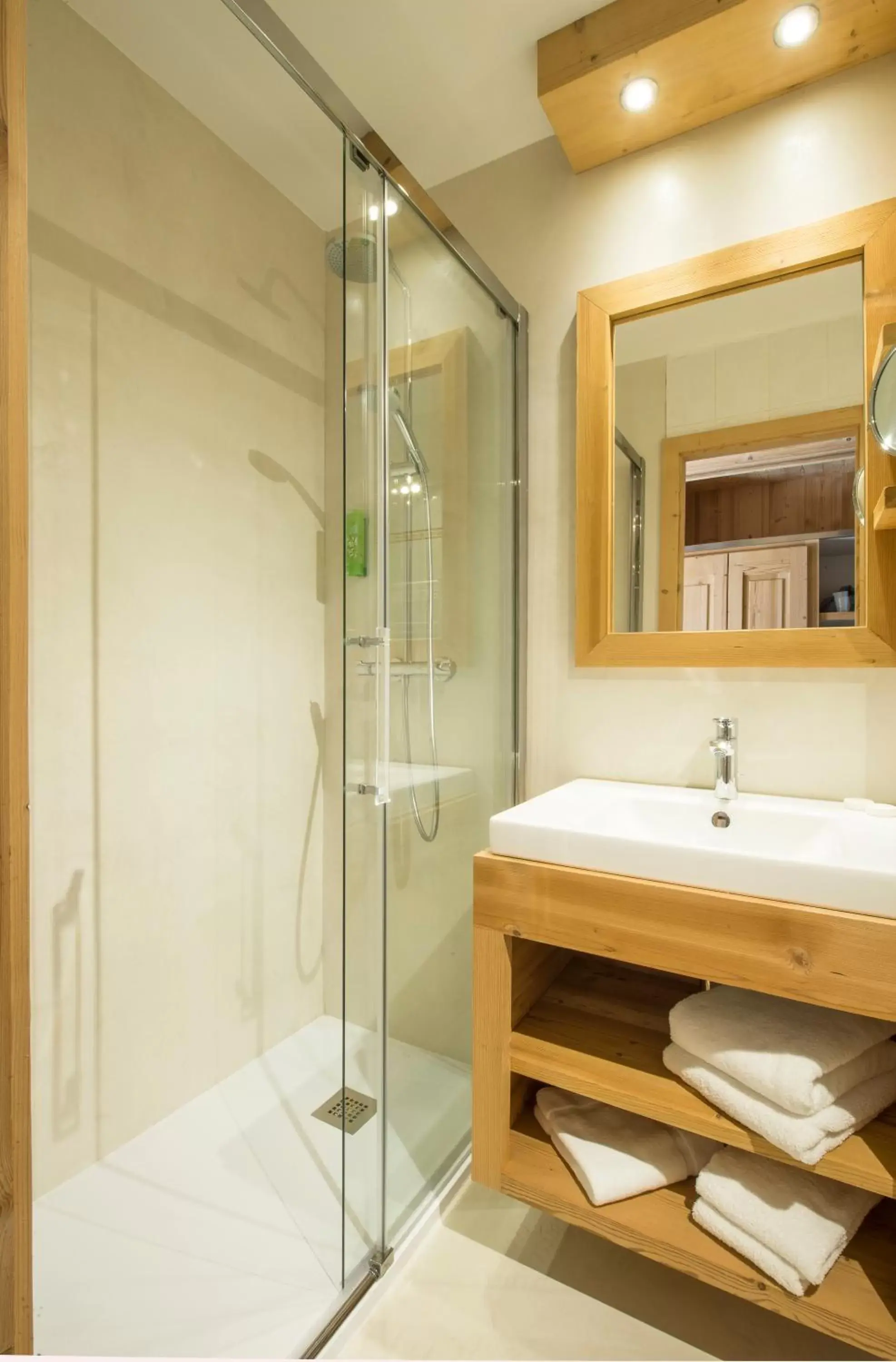 Shower, Bathroom in Hotel le Petit Dru