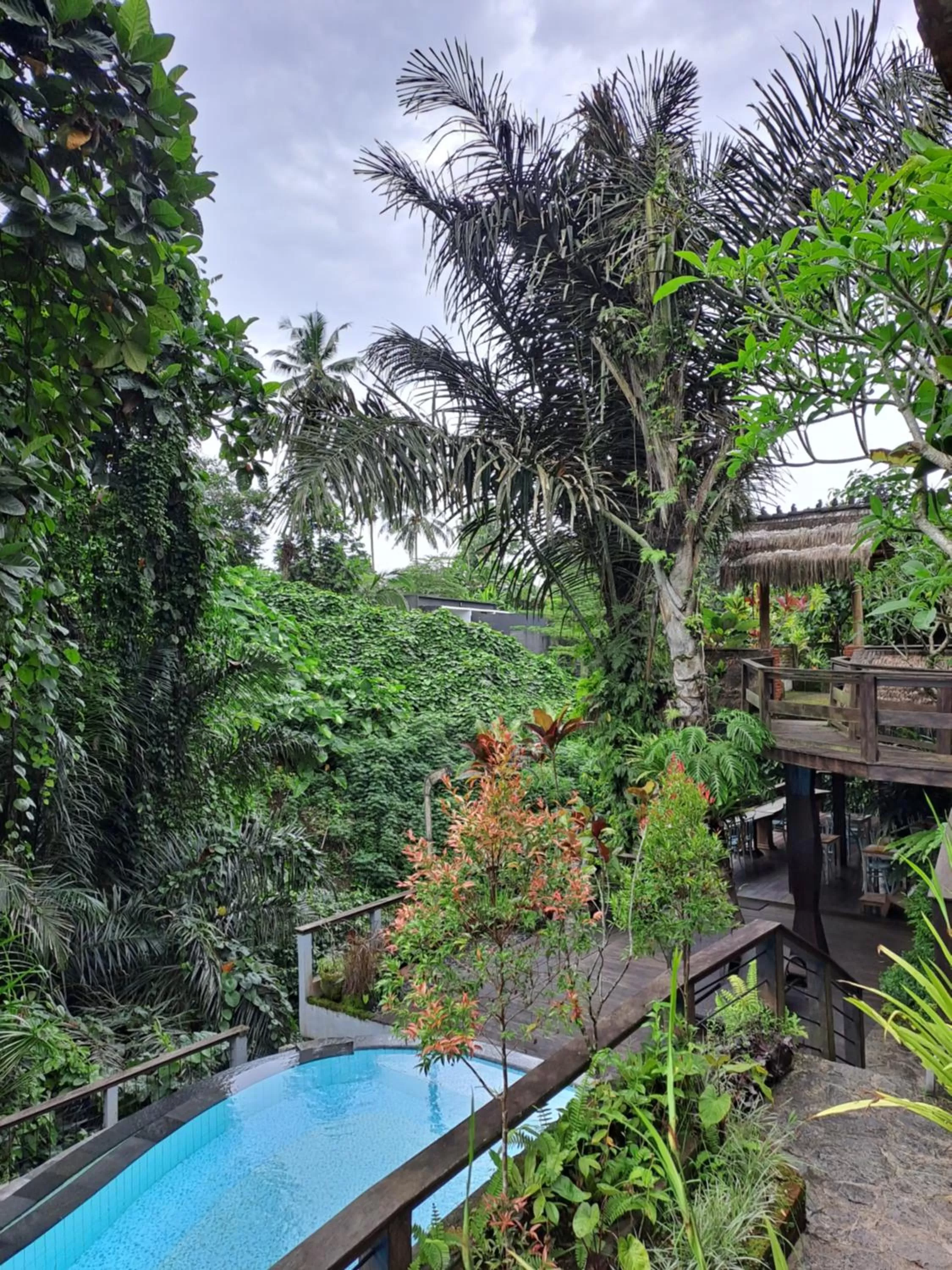 View (from property/room) in Parvati Retreat Villas